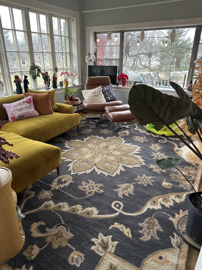 Aavira Hand Tufted Oriental Area Rug