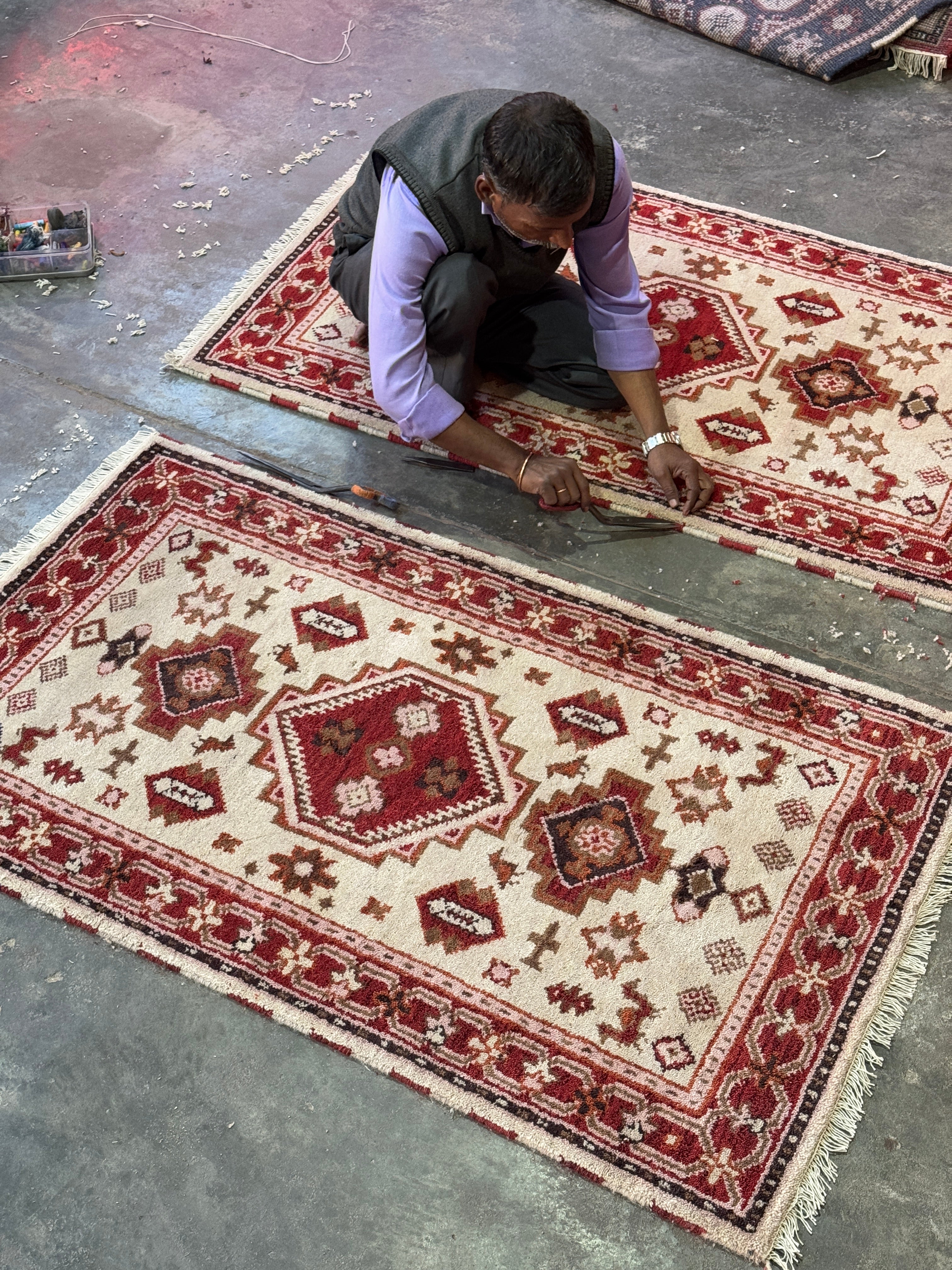 Aryavarta Hand Knotted Oriental Rug