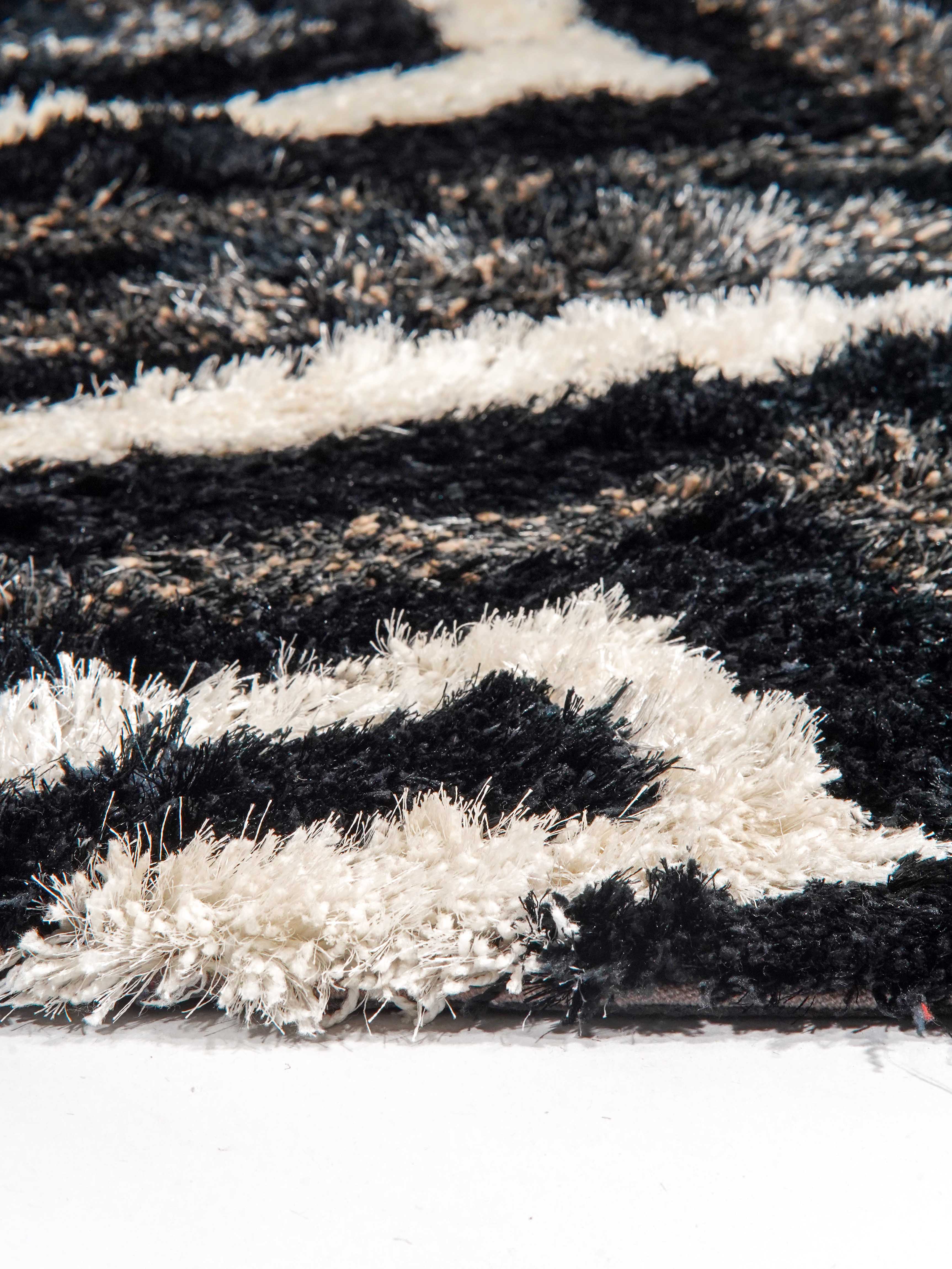 Ekanta Hand Tufted Shag Rug