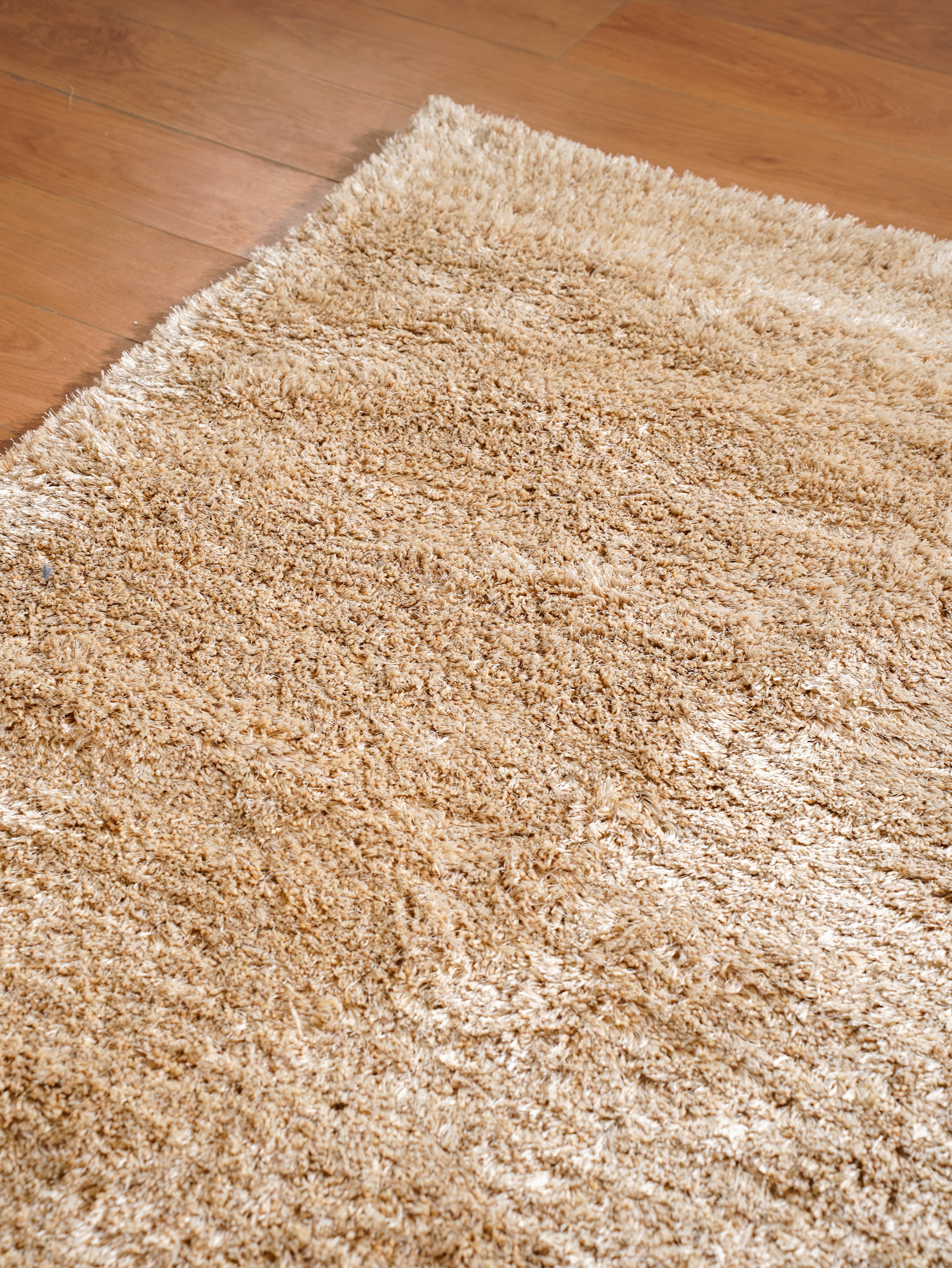 Ivory Hand Tufted Shag Rug