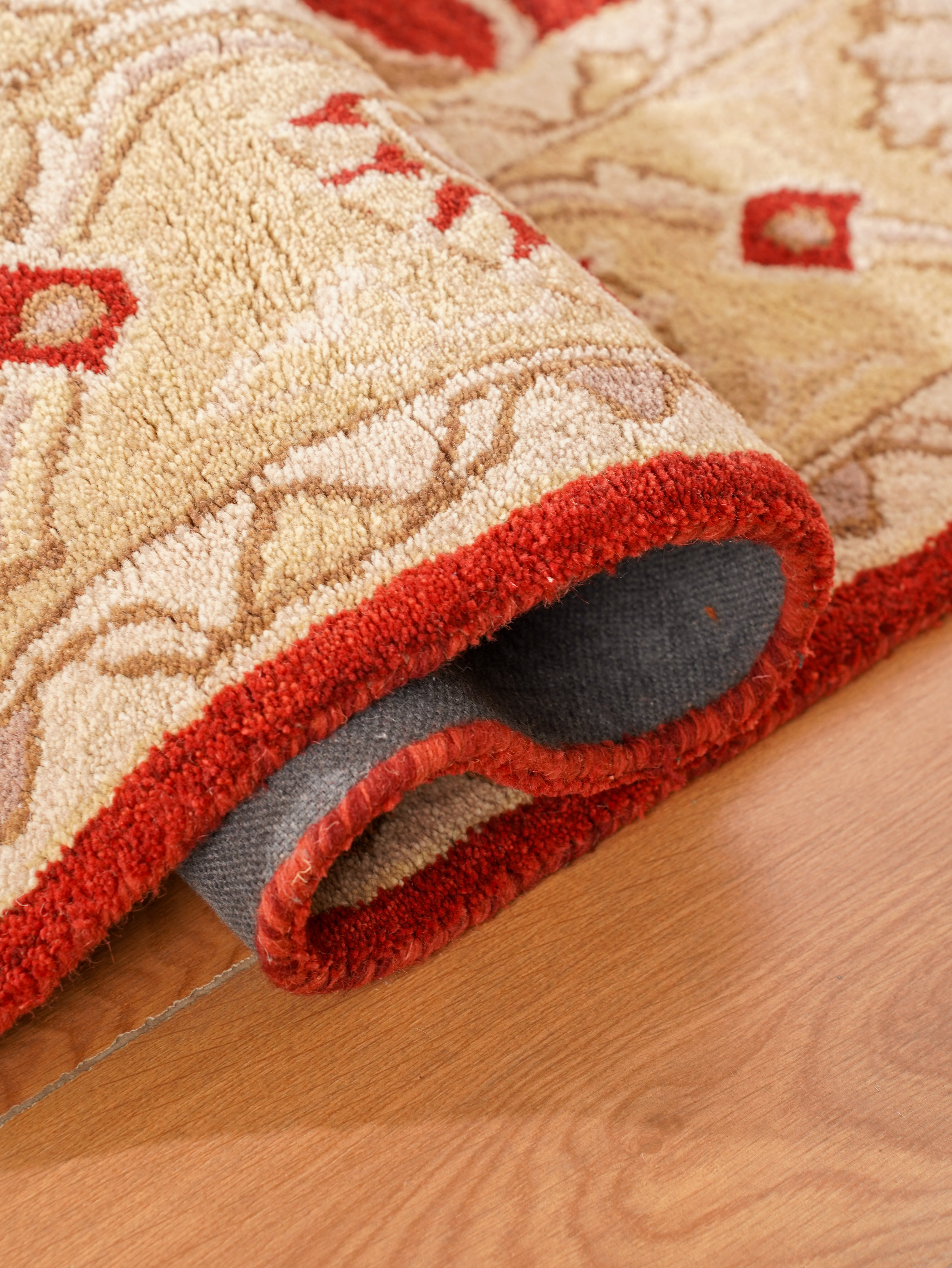 Raktima Hand Tufted Oriental Rug