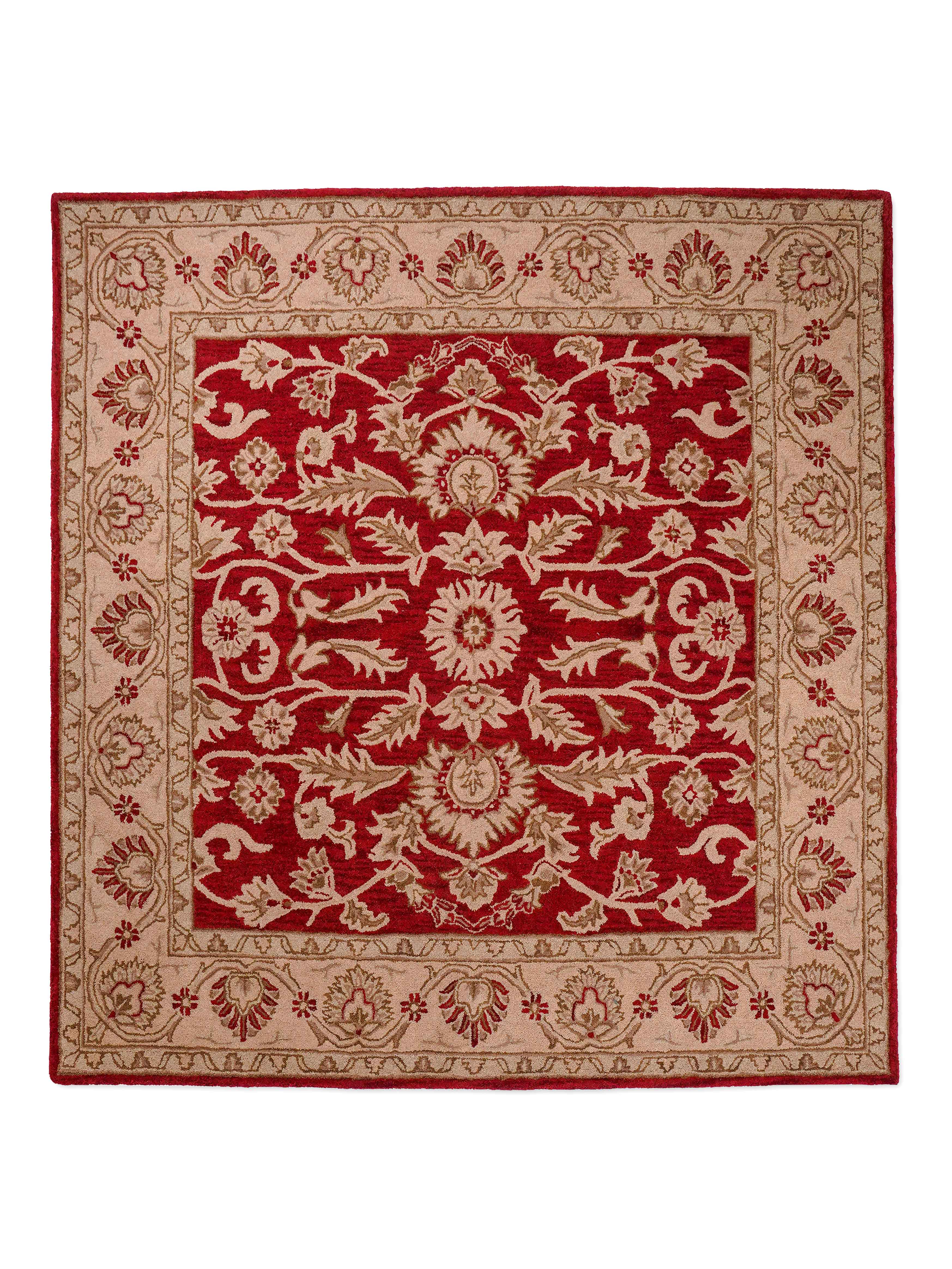 Raktima Hand Tufted Oriental Rug