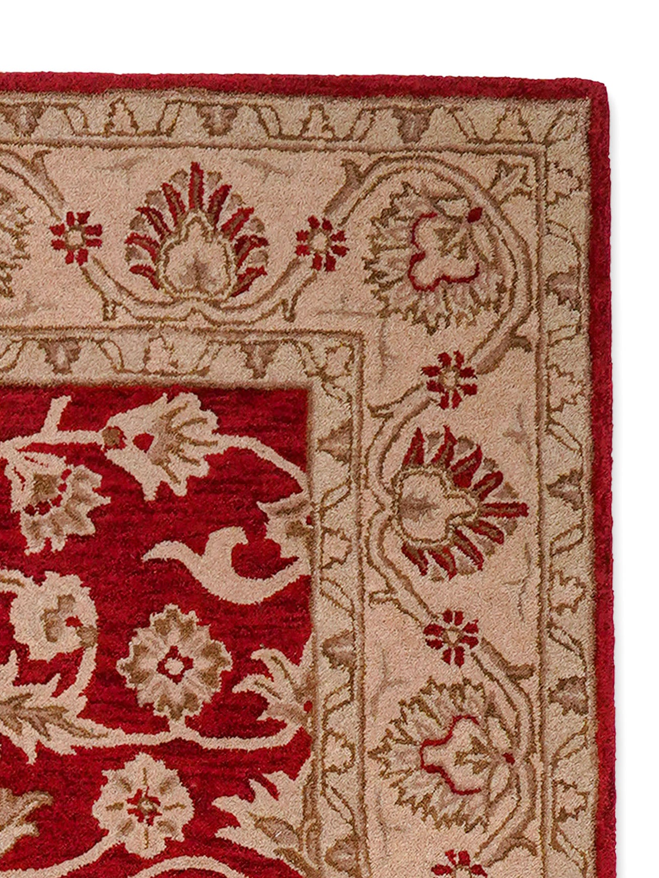 Raktima Hand Tufted Oriental Rug