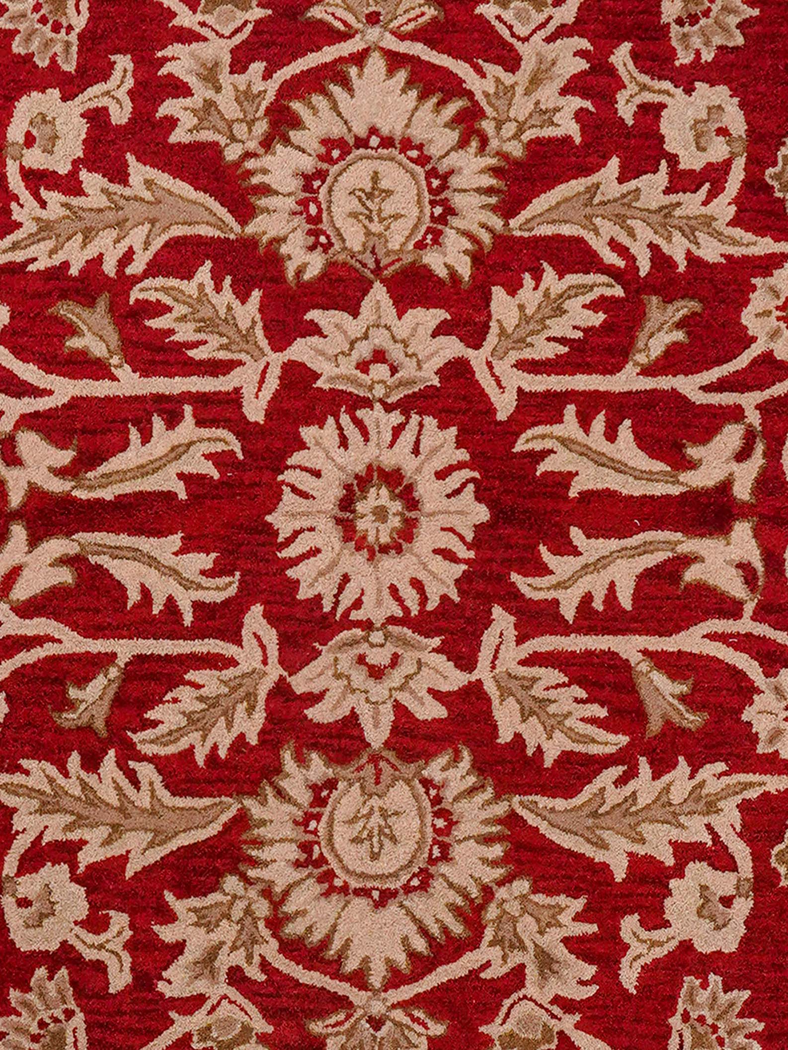 Raktima Hand Tufted Oriental Rug