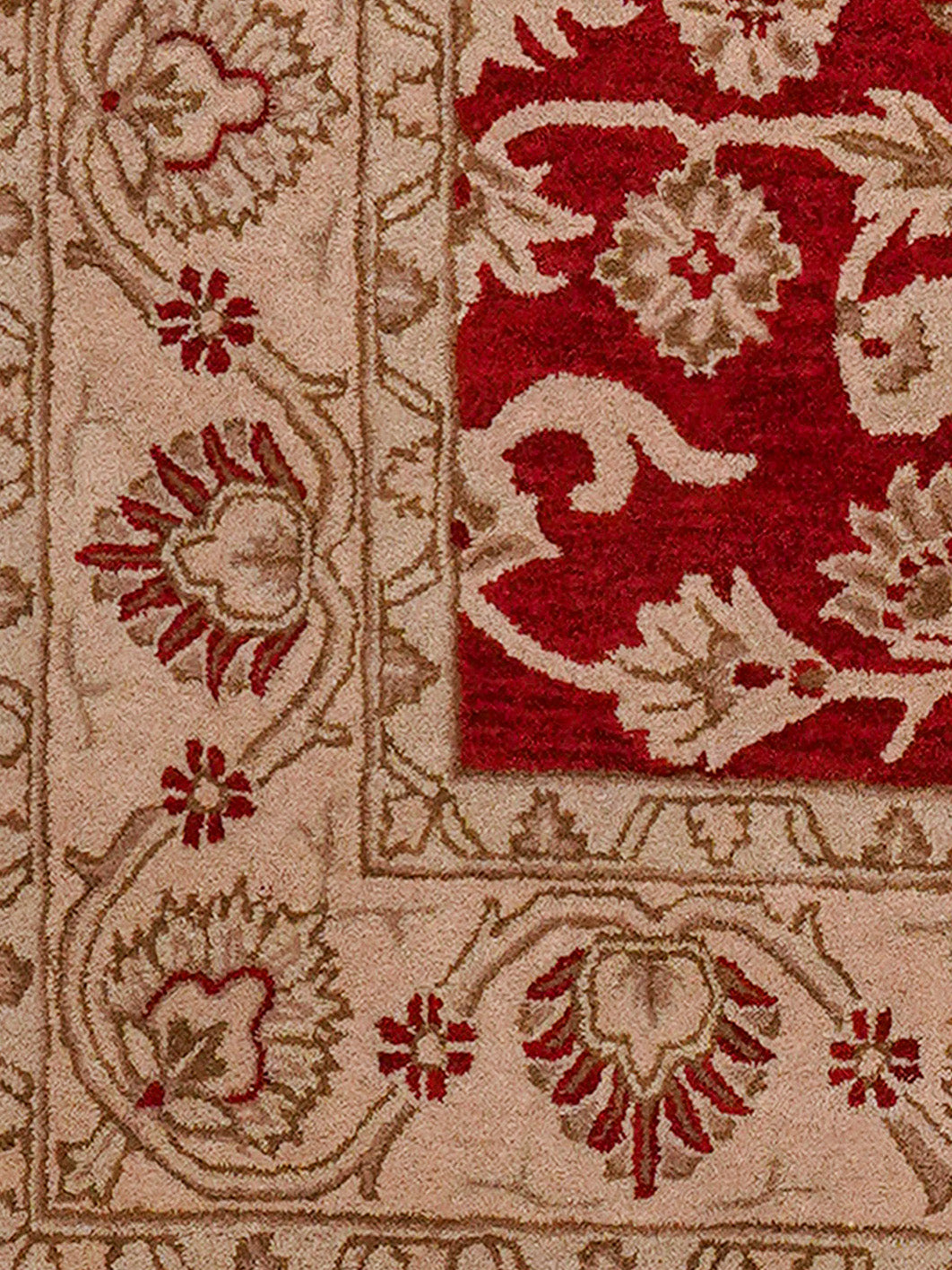 Raktima Hand Tufted Oriental Rug