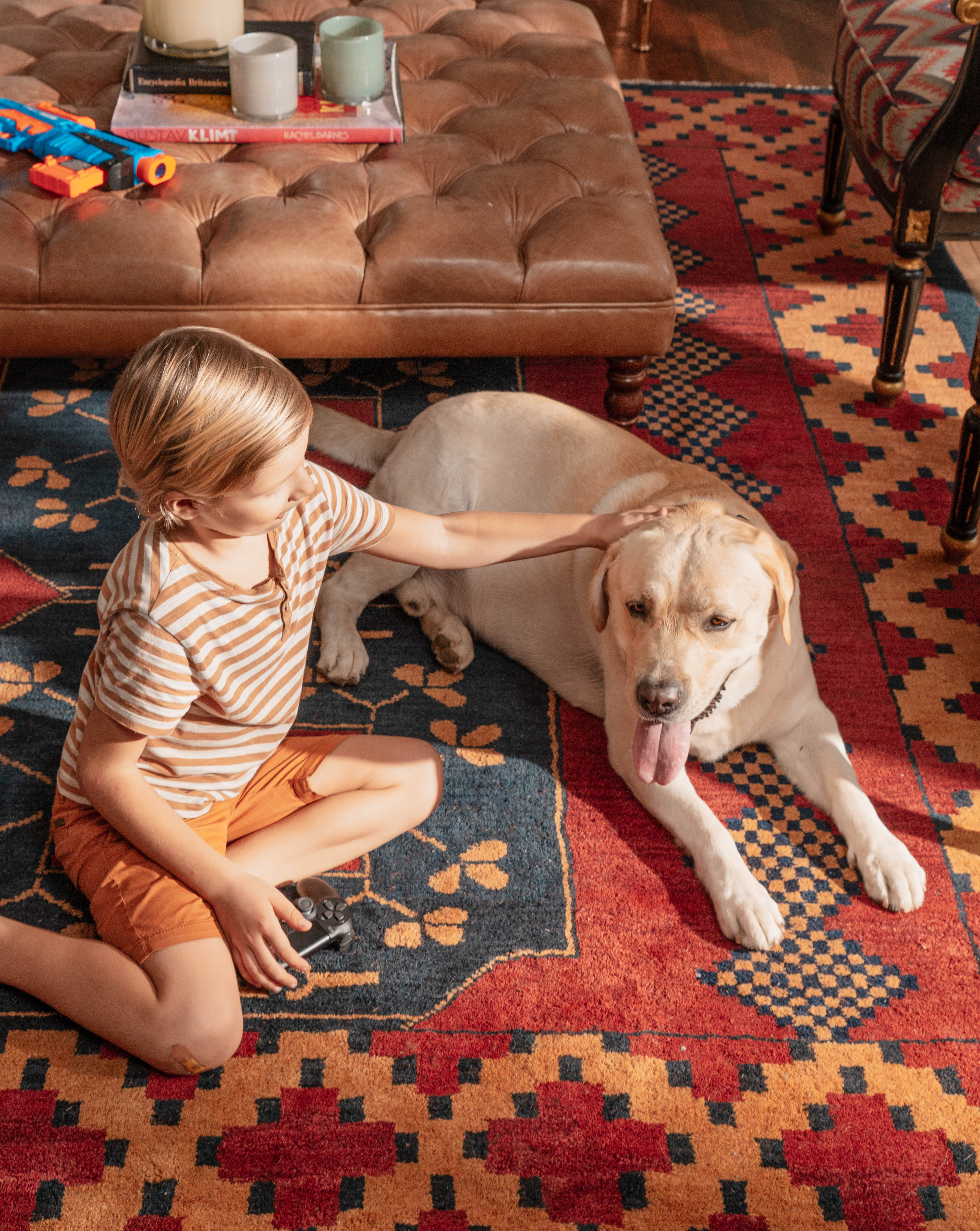 Aarav Hand Knotted Oriental Rug