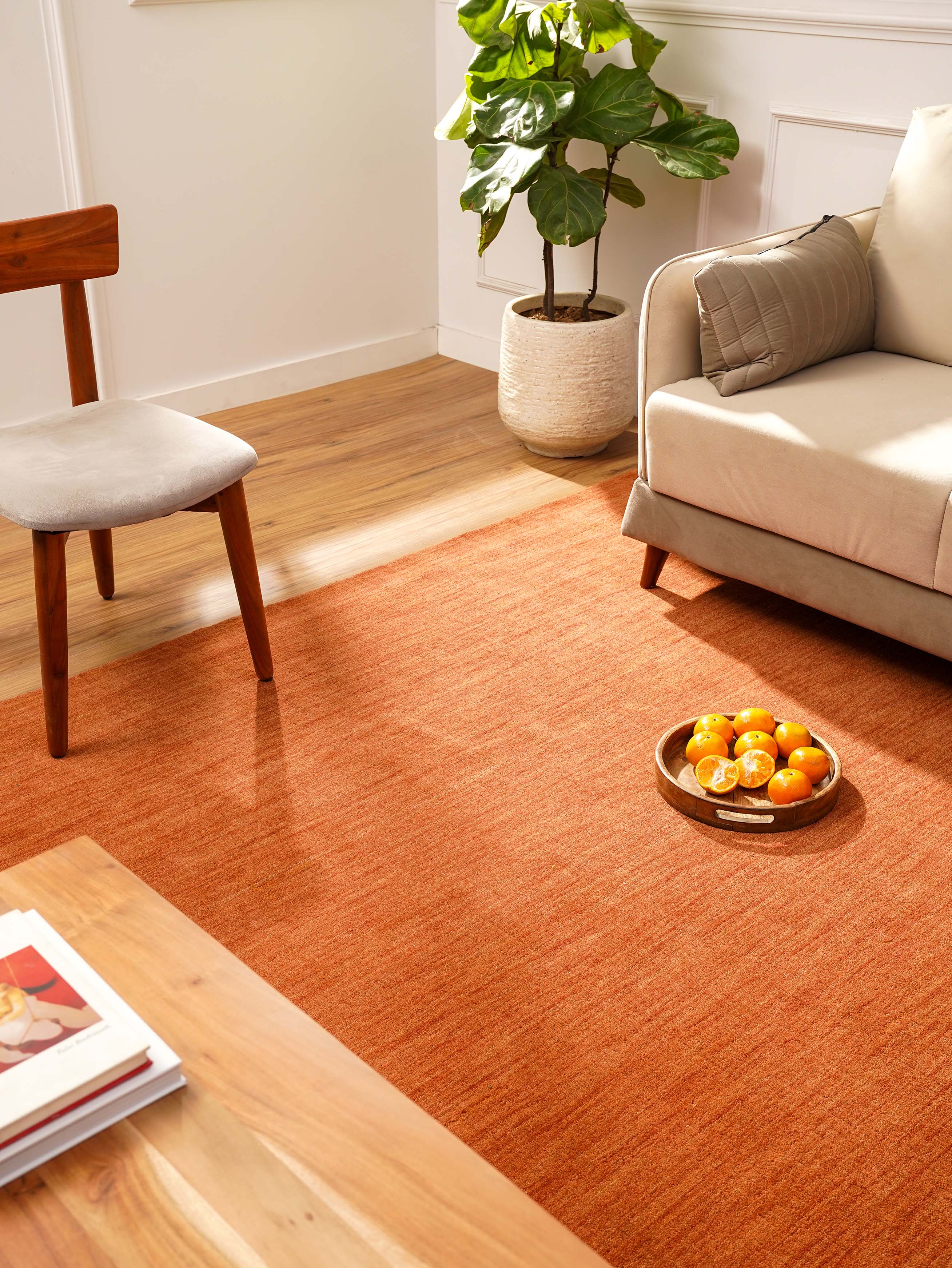 Plain Hand Knotted Wool Rug