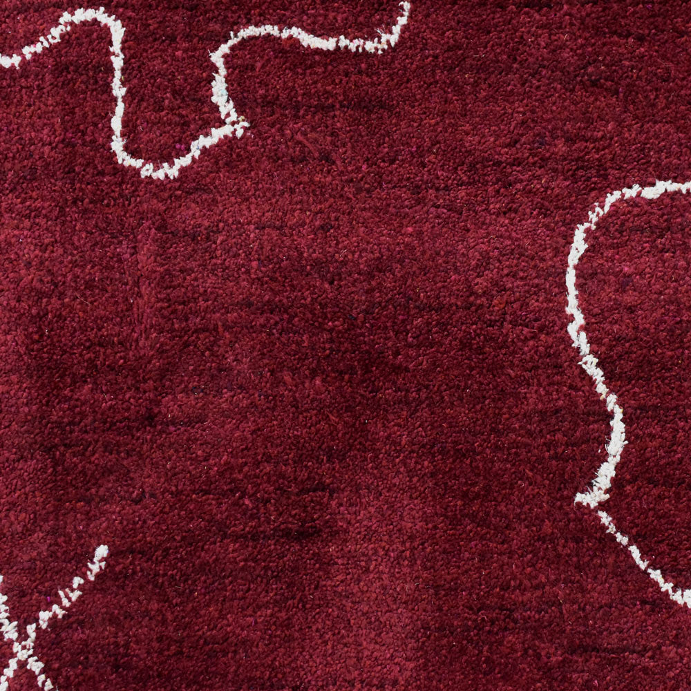 Ava Hand Knotted Silk & Wool Area Rug