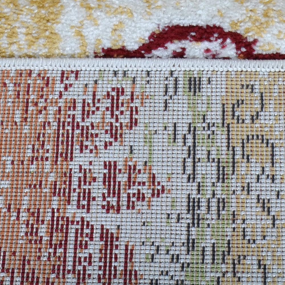 Bhanu Machine Woven Heatset Polypropylene Area Rug