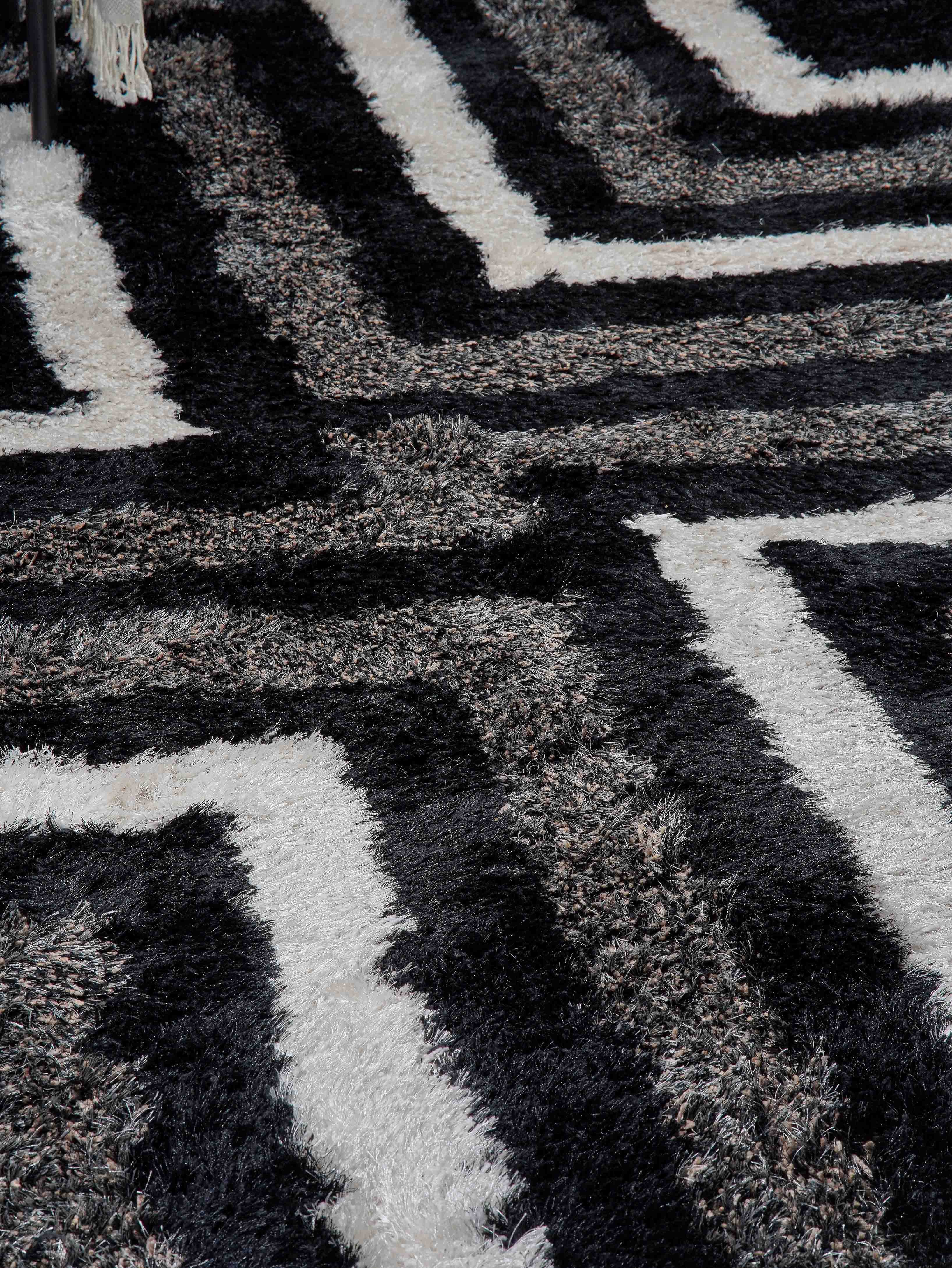 Ekanta Hand Tufted Shag Rug