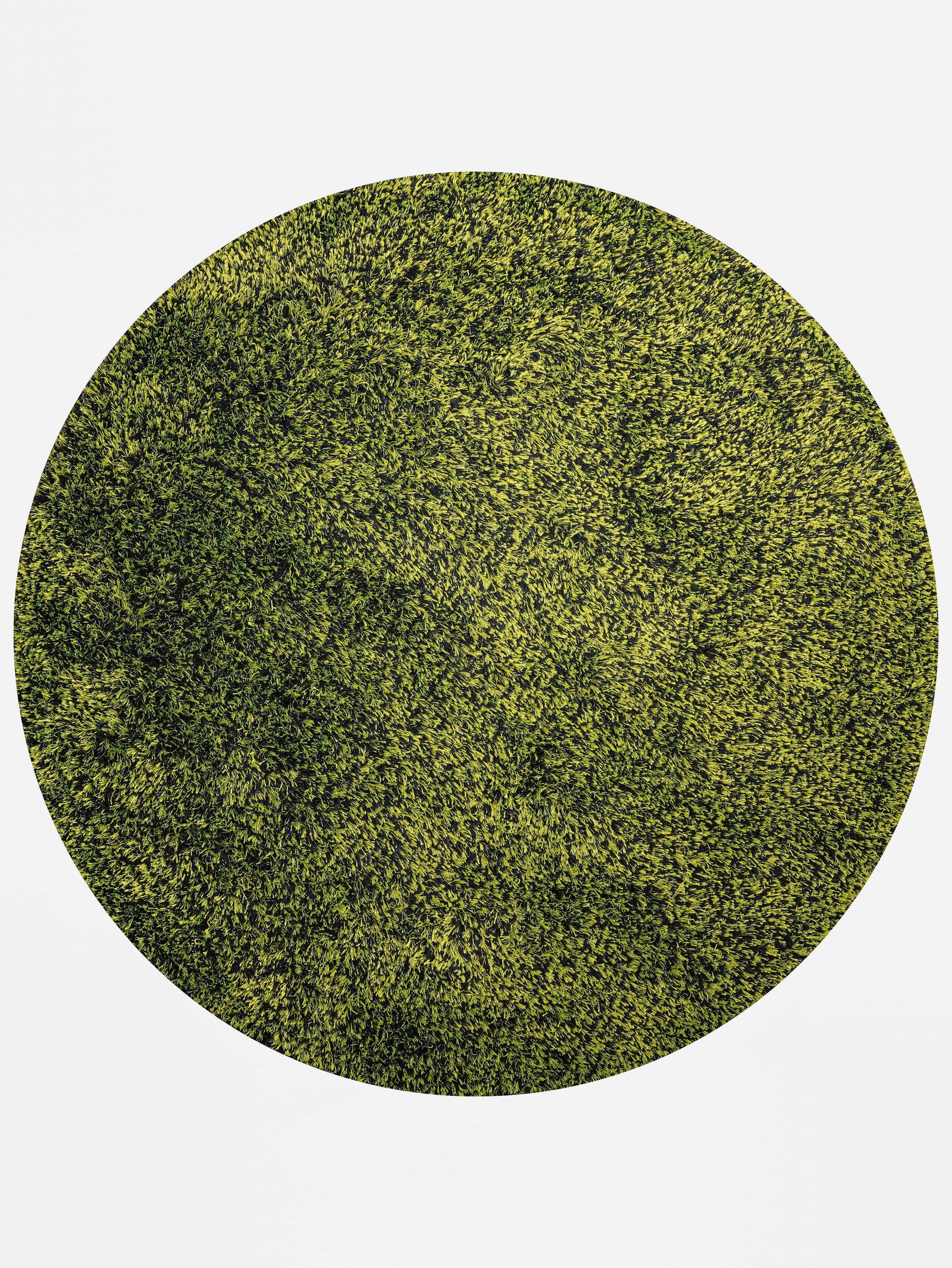Solid Green Shag Polyester Area Rug