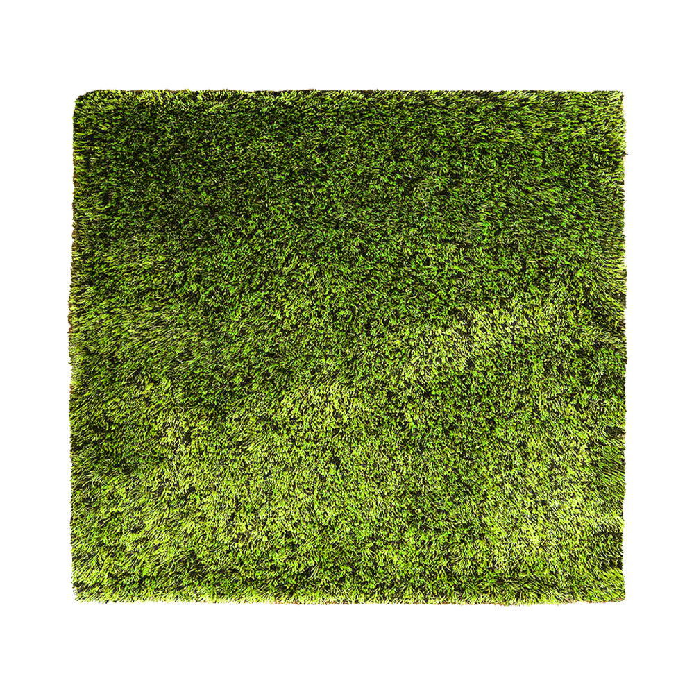 Solid Green Shag Polyester Area Rug