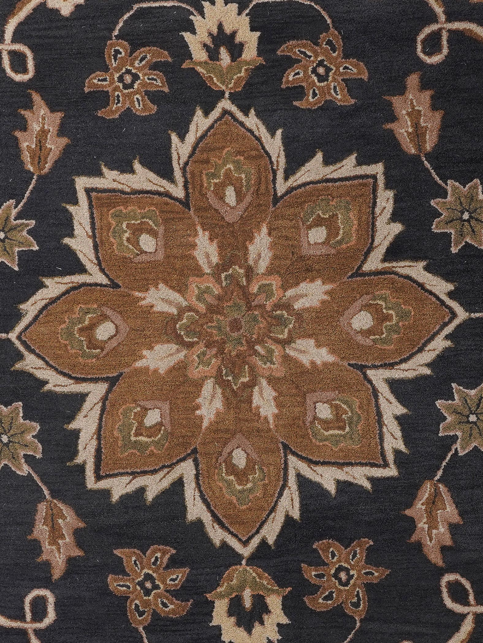 Aavira Hand Tufted Oriental Area Rug