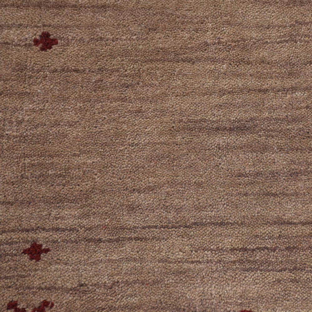 Eila Hand Knotted Wool Area Rug