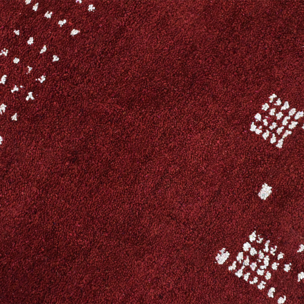 Dana Hand Knotted Silk & Wool Area Rug