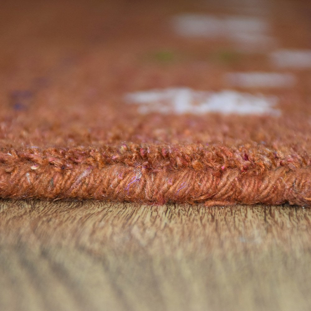 Ada Hand Knotted Silk & Wool Area Rug
