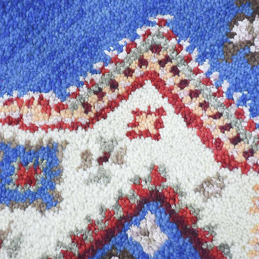 Vividha Hand Knotted Oriental Rug