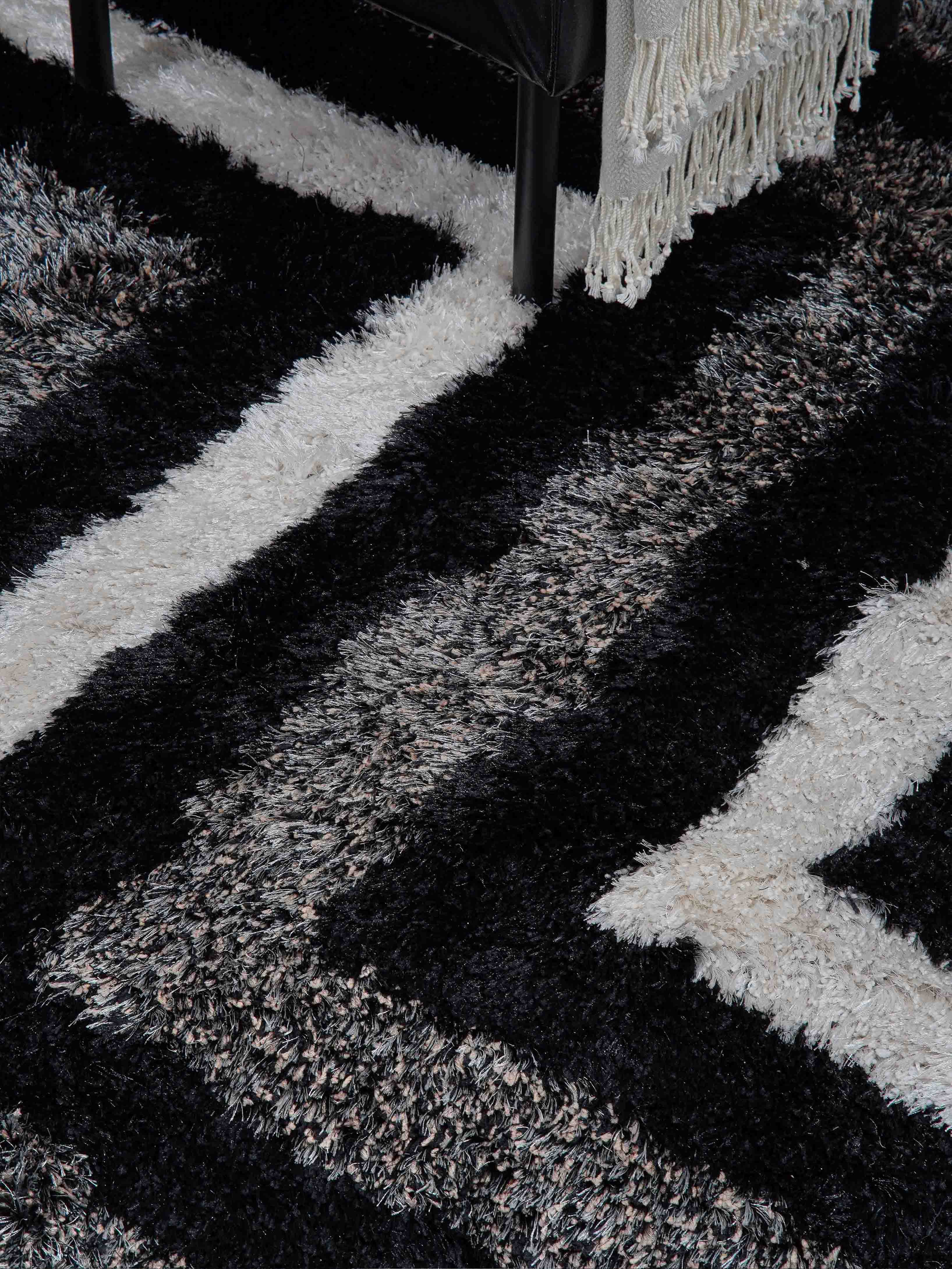 Ekanta Hand Tufted Shag Rug