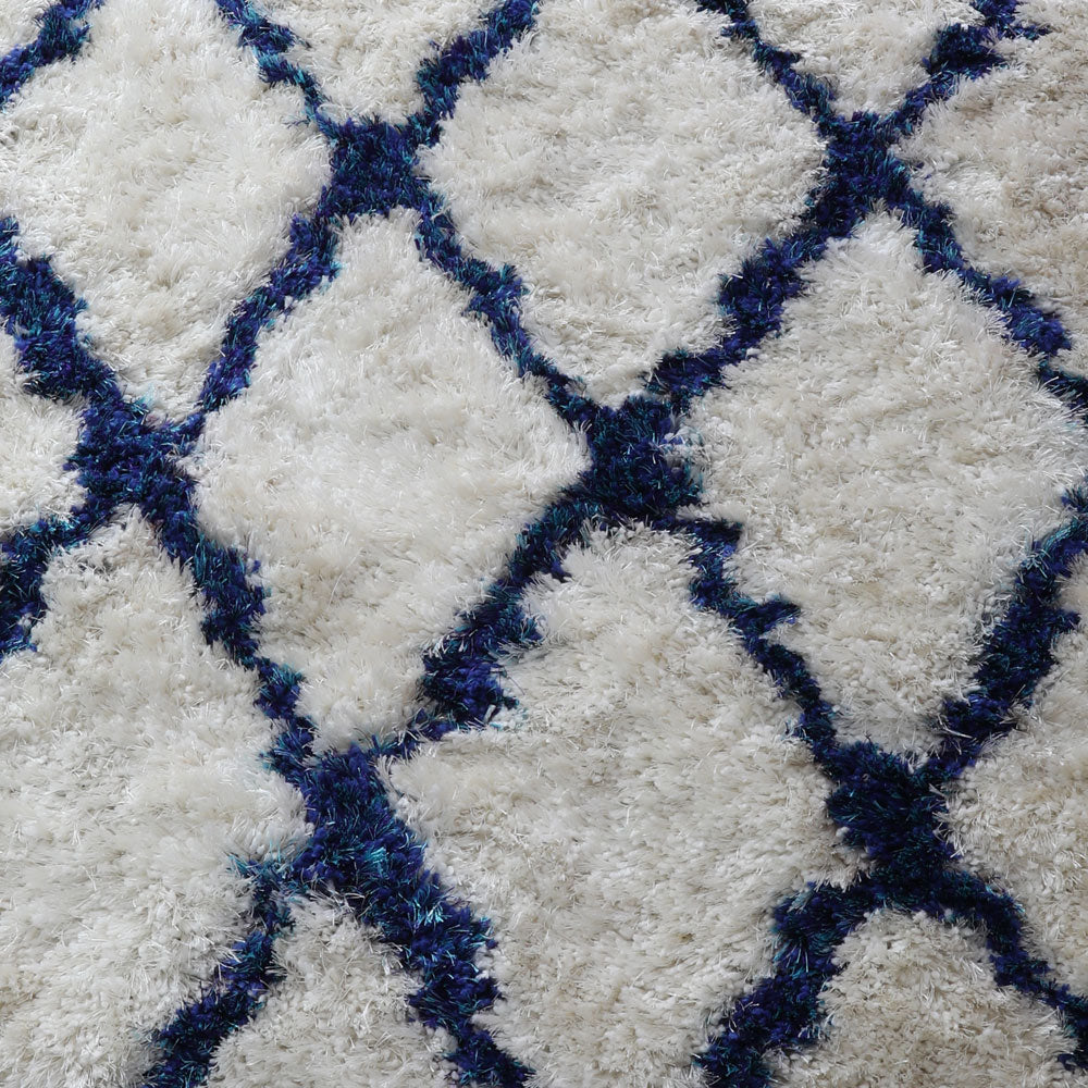 Rithika Hand Tufted Shag Polyester Area Rug