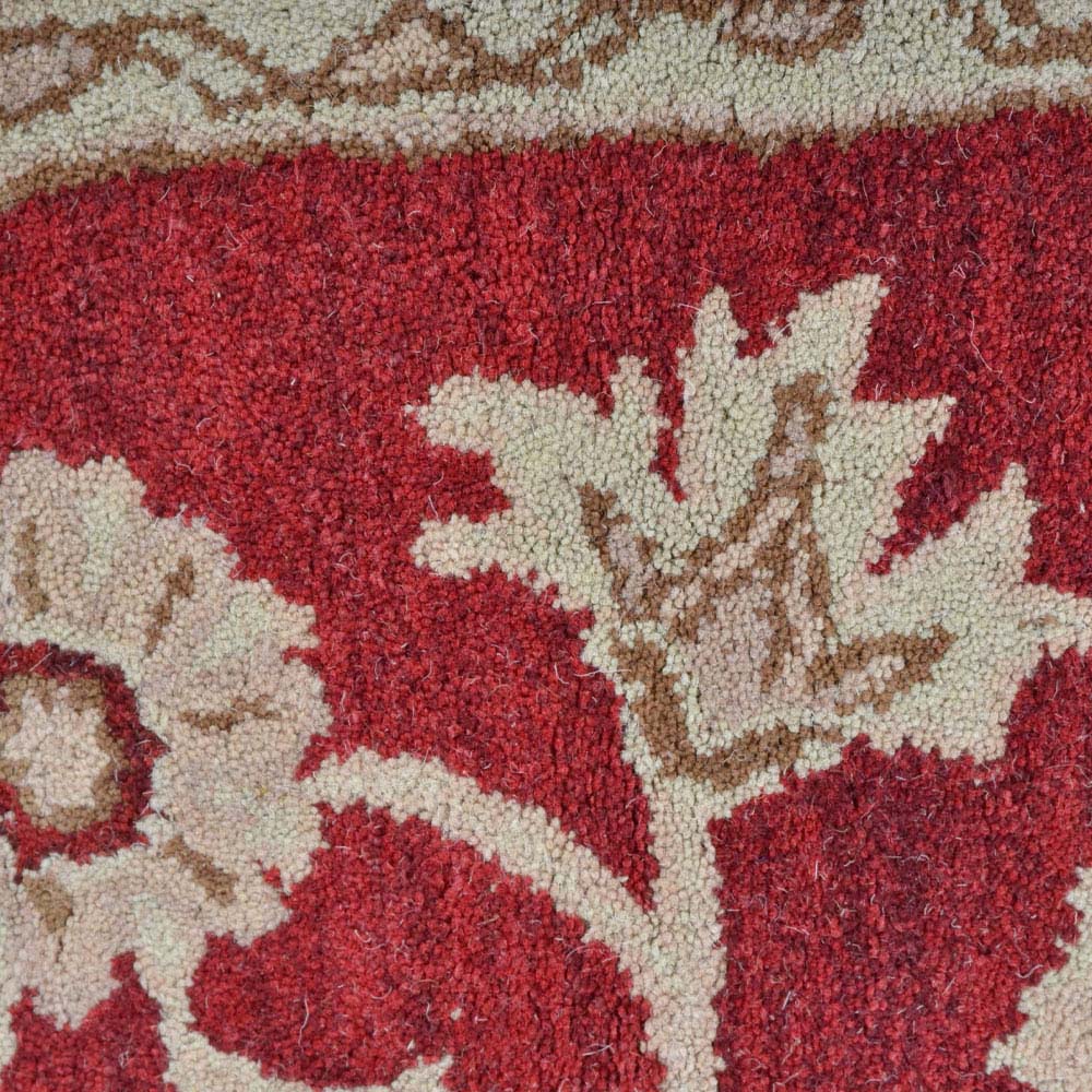 Raktima Hand Tufted Oriental Rug