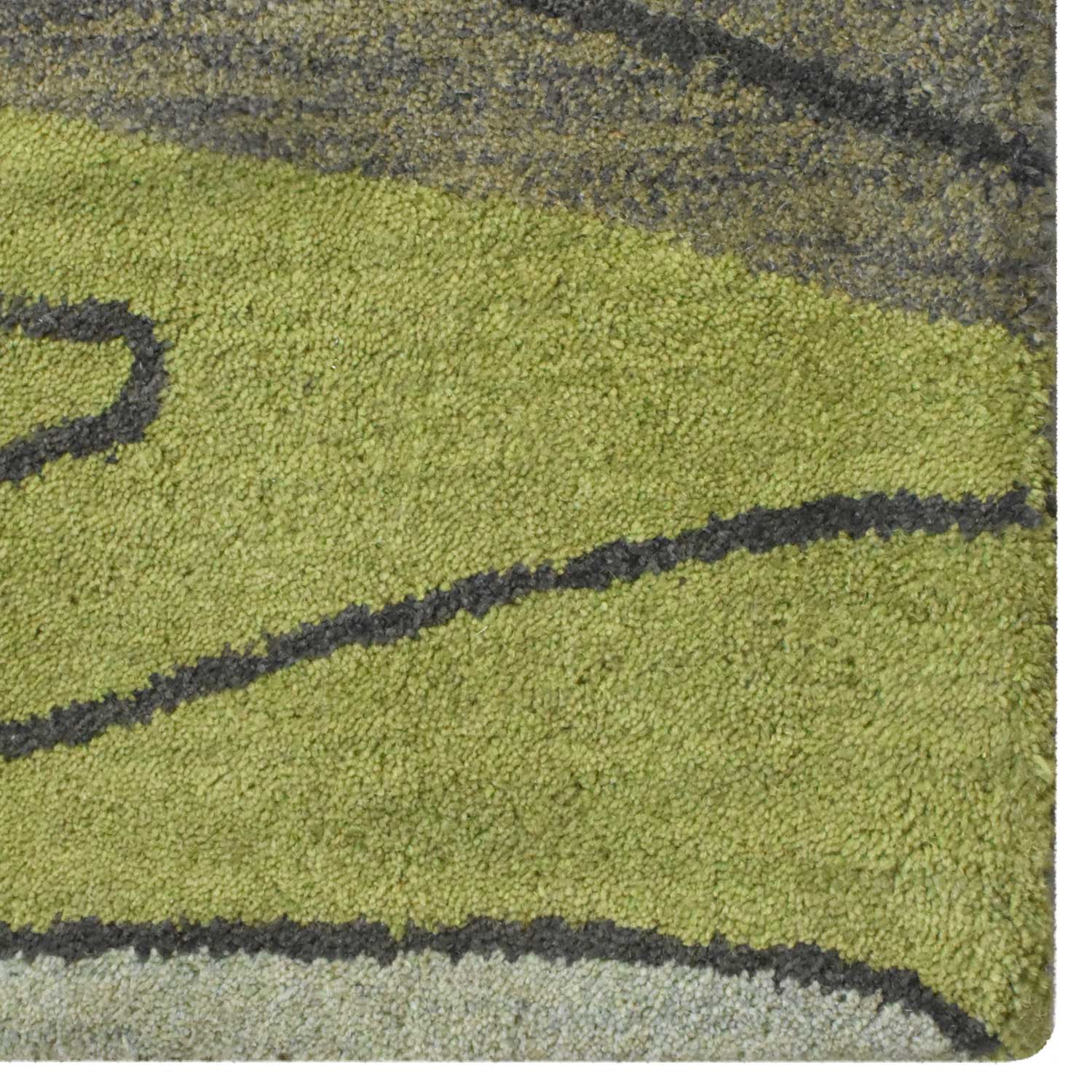 Aranya Hand Tufted Area Rug