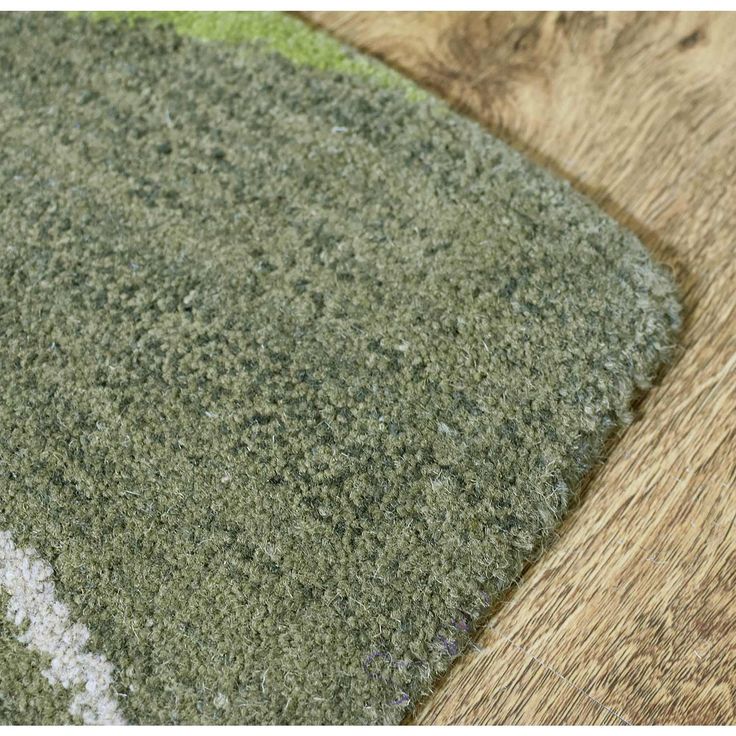 Aranya Hand Tufted Area Rug