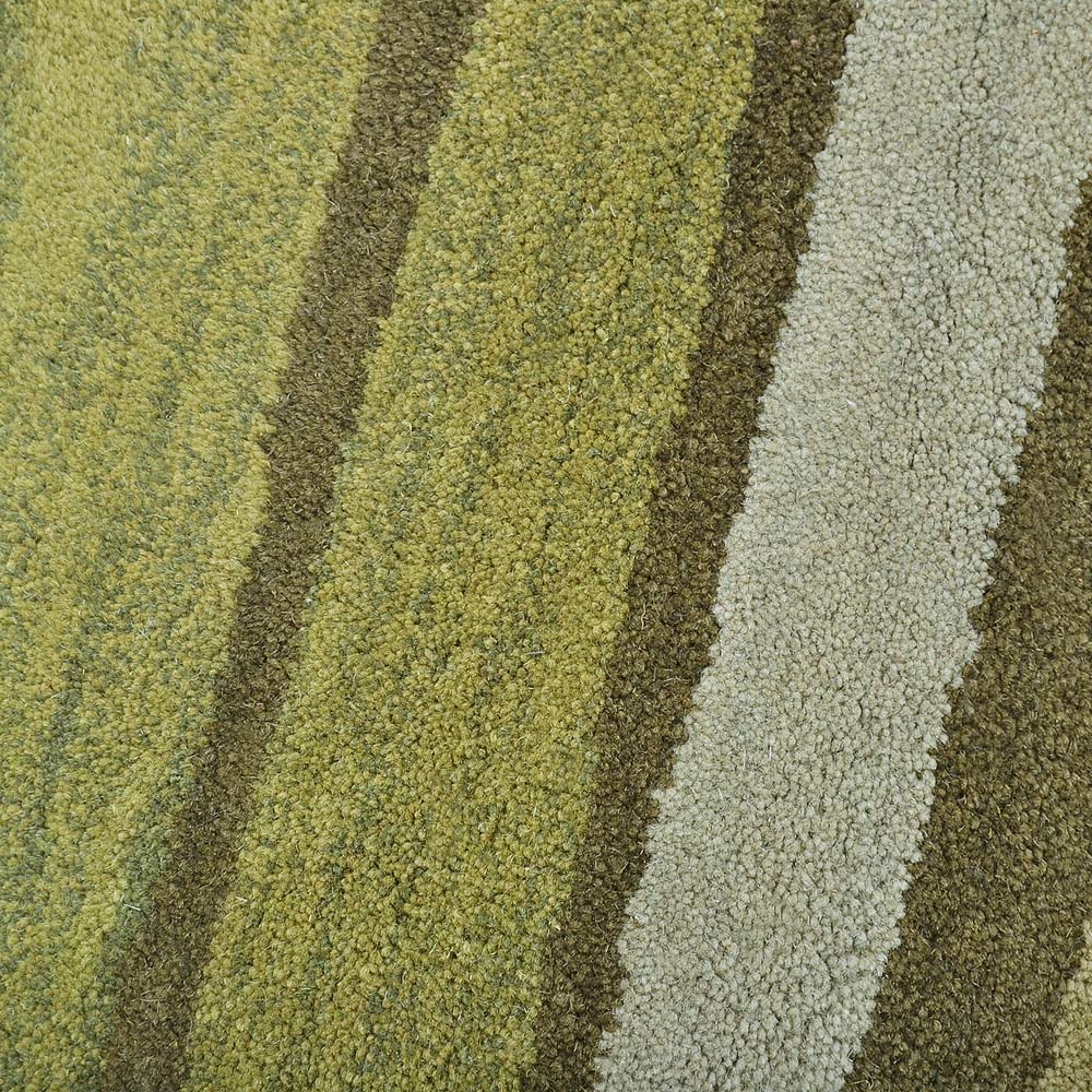 Aranya Hand Tufted Area Rug