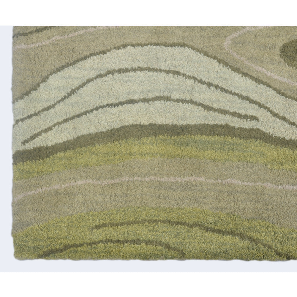 Aranya Hand Tufted Area Rug