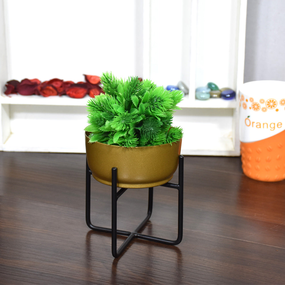 Astra Iron Pot Planter