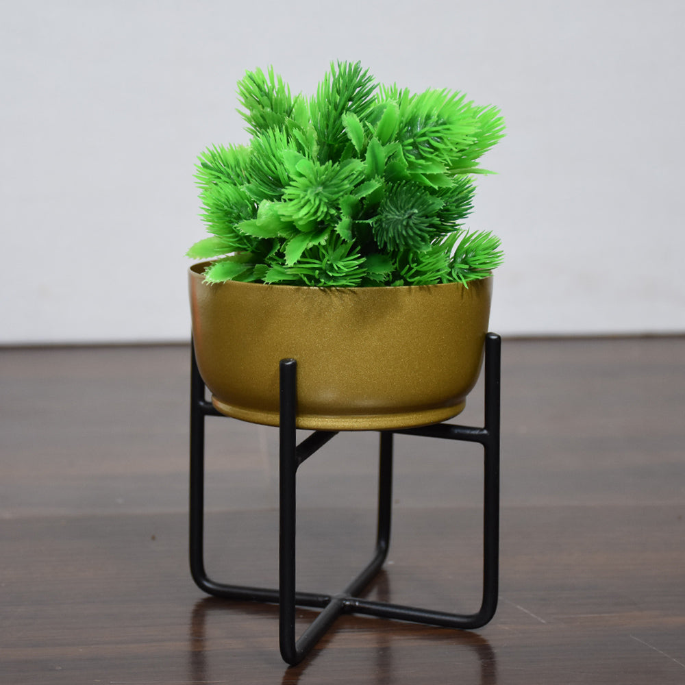 Astra Iron Pot Planter