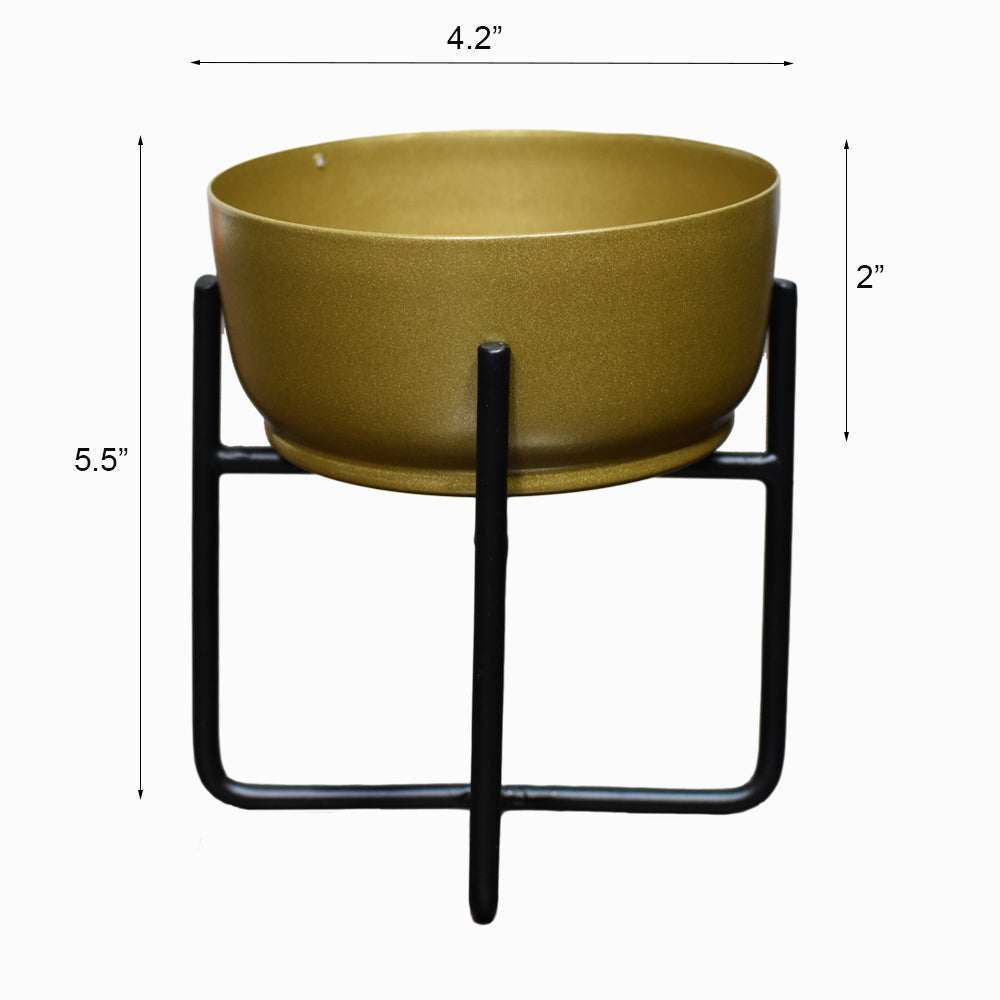 Astra Iron Pot Planter