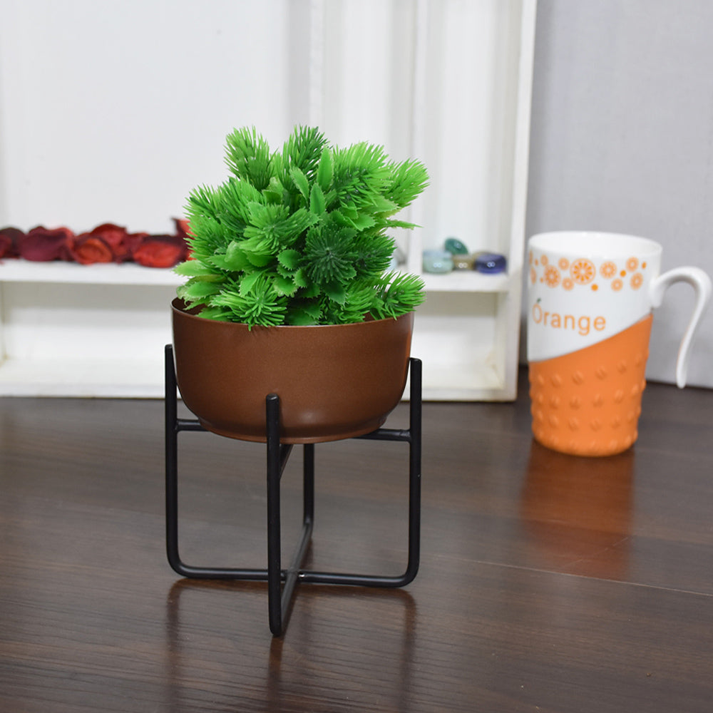 Astra Iron Pot Planter