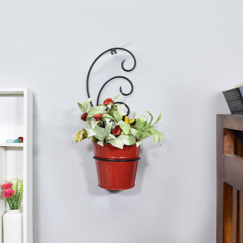 Crimson Curl Pot Planter