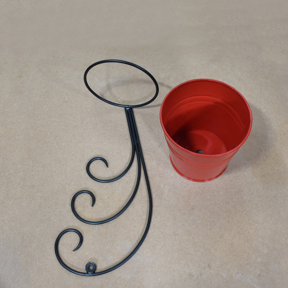 Crimson Curl Pot Planter