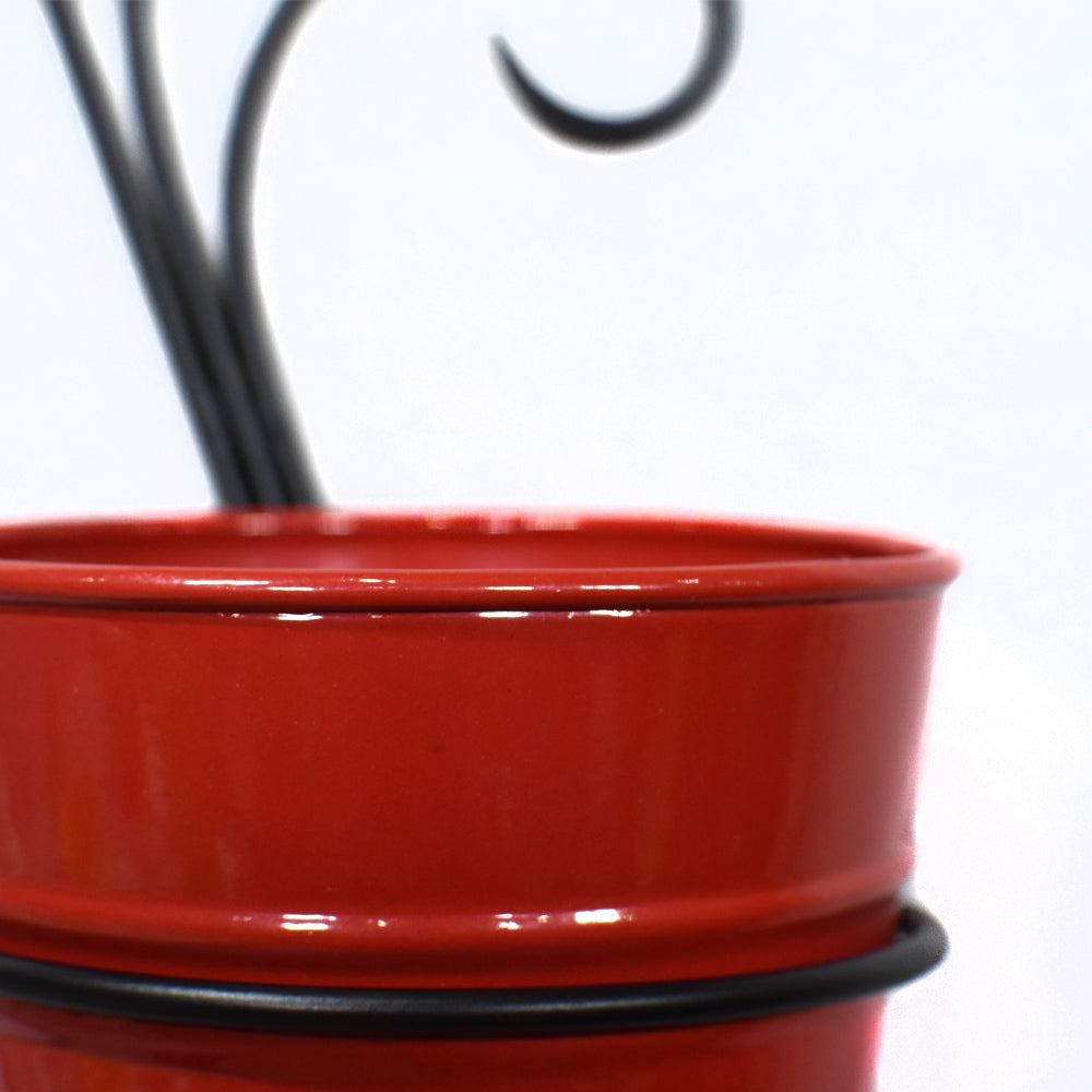 Crimson Curl Pot Planter