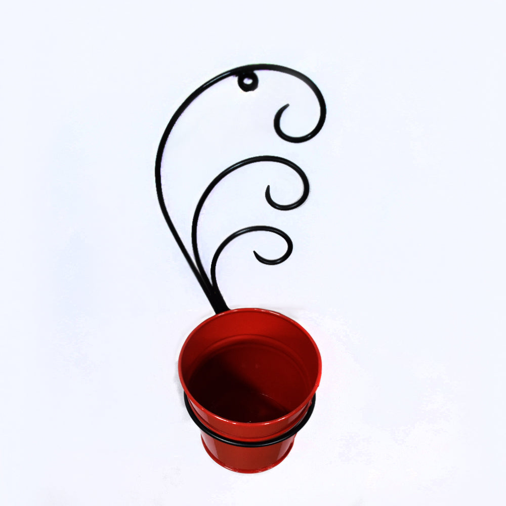 Crimson Curl Pot Planter