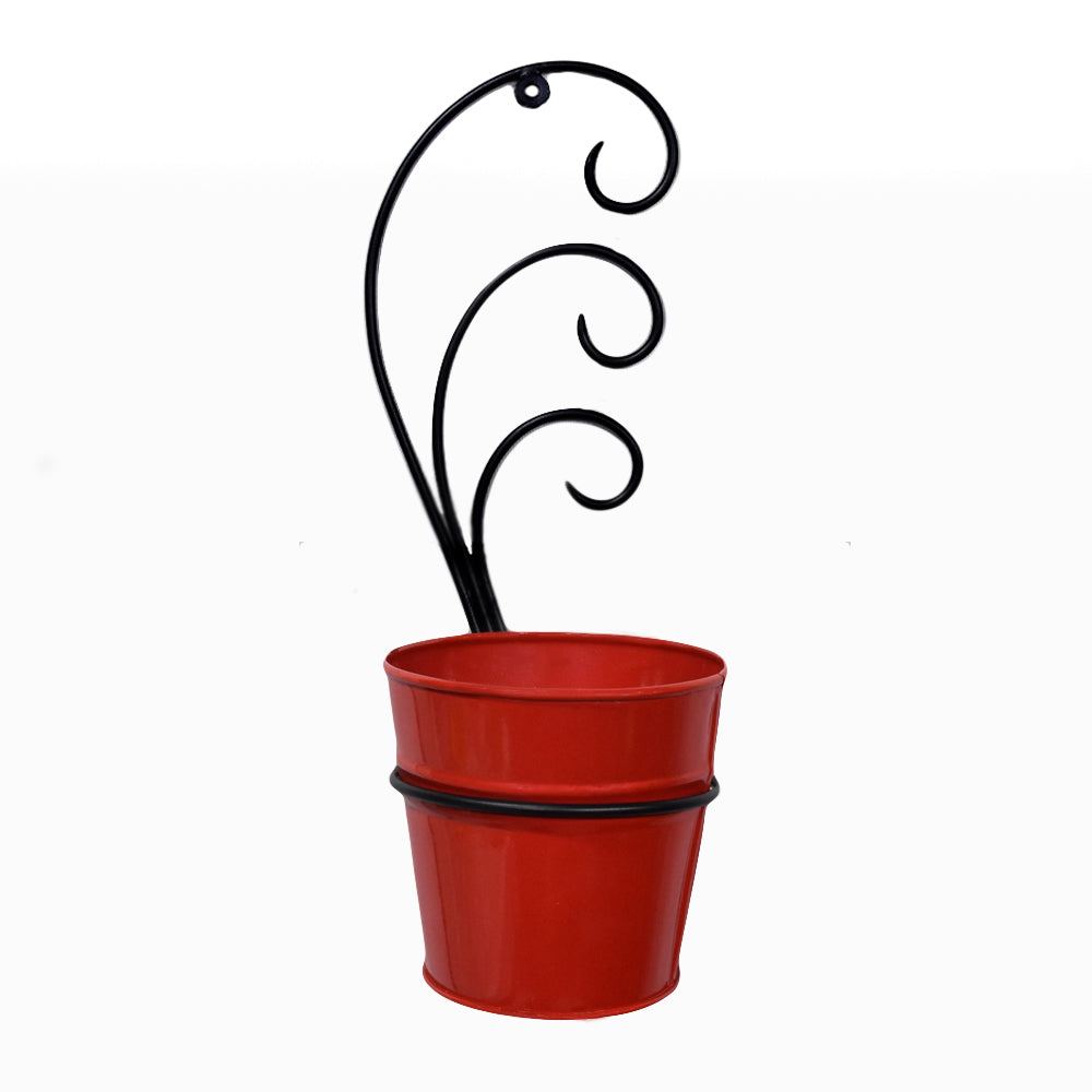 Crimson Curl Pot Planter