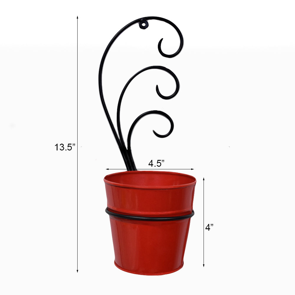 Crimson Curl Pot Planter
