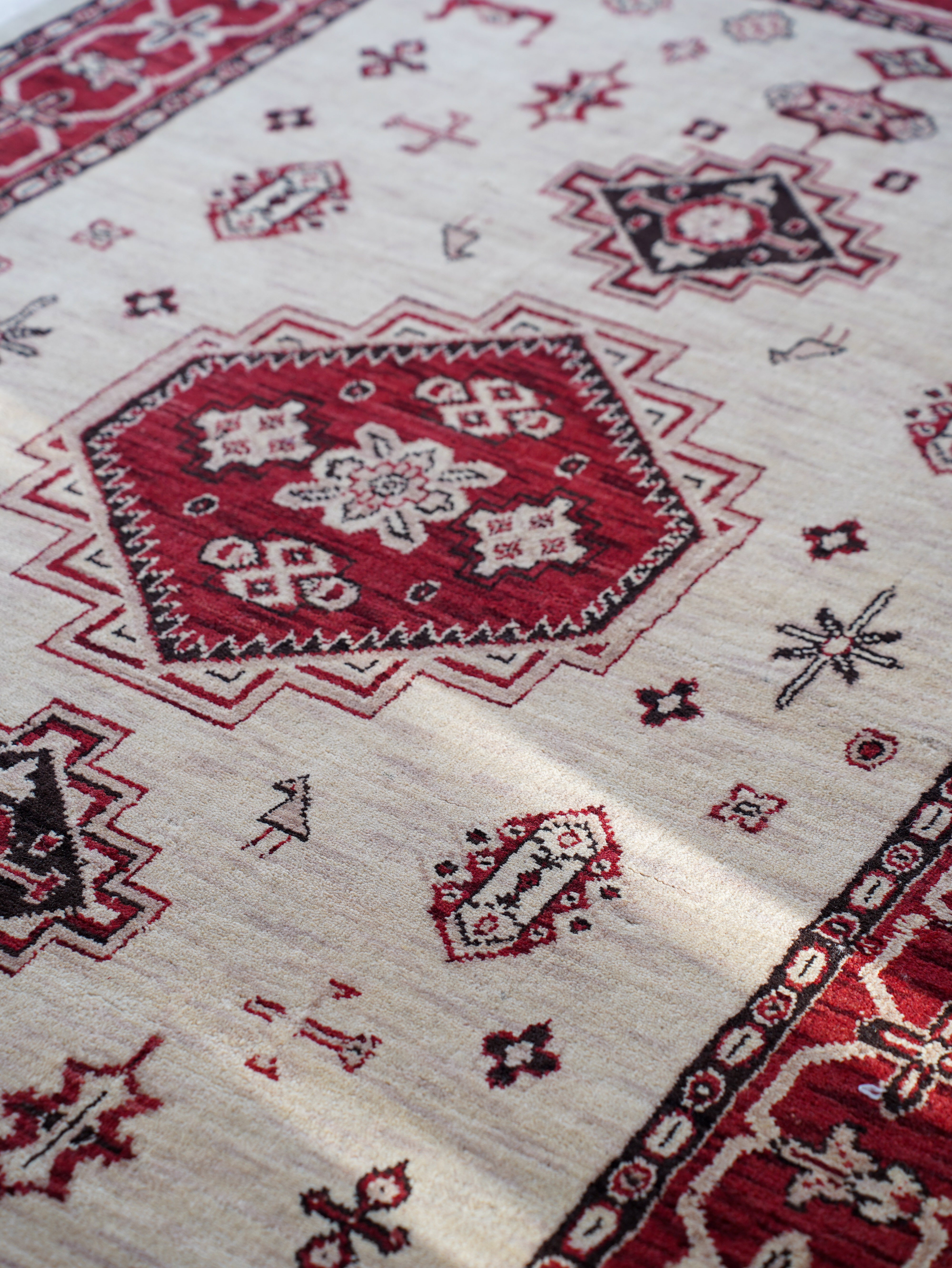 Aryavarta Hand Knotted Oriental Rug