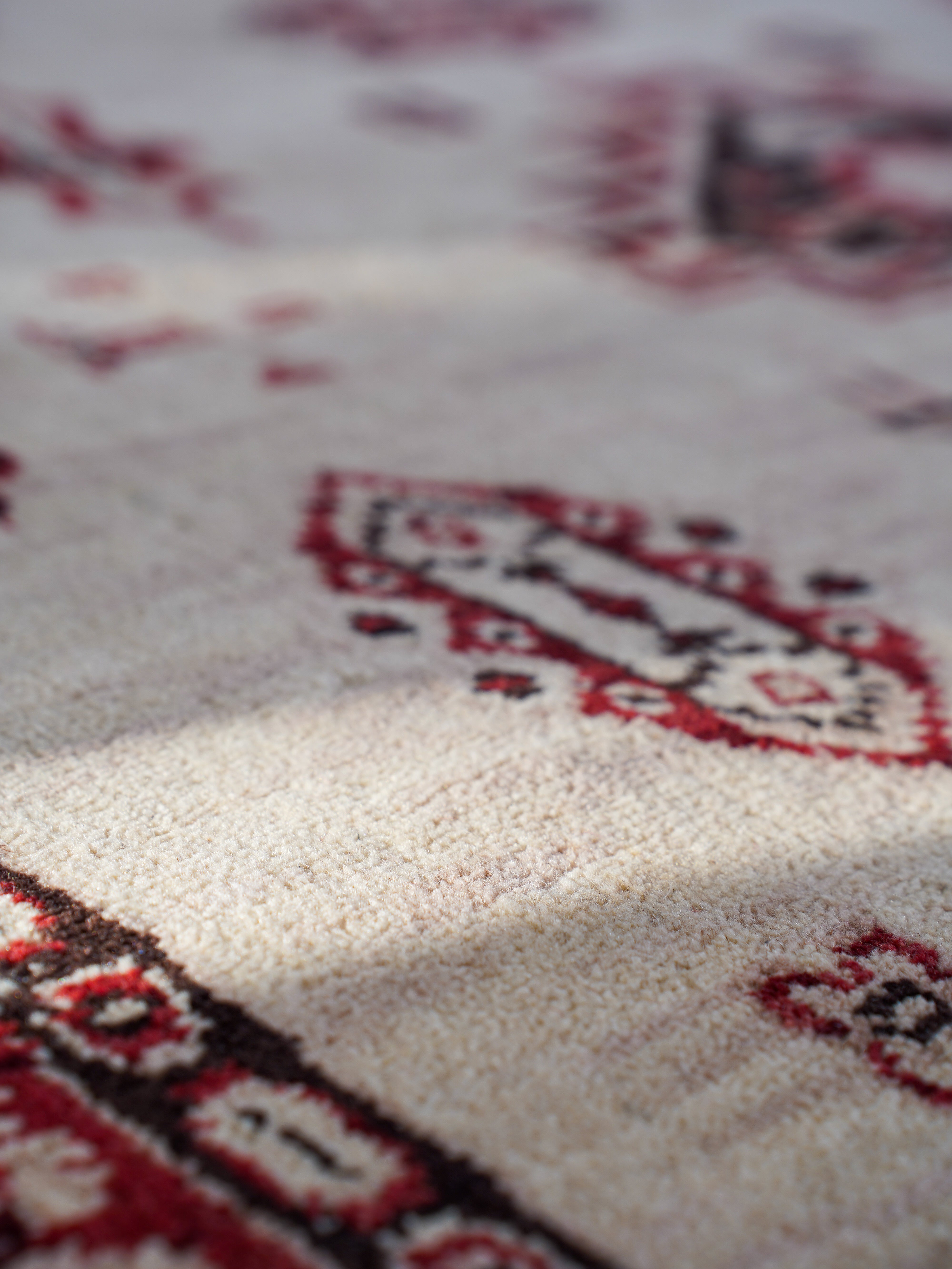 Aryavarta Hand Knotted Oriental Rug