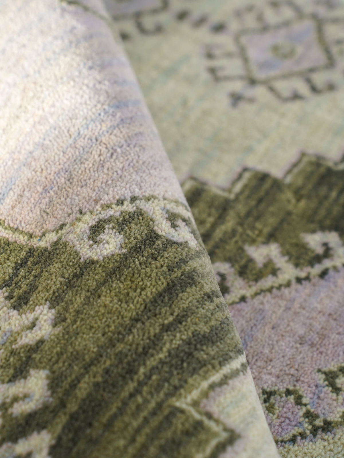 Hand Knotted Wool Oriental Area Rug Light Green