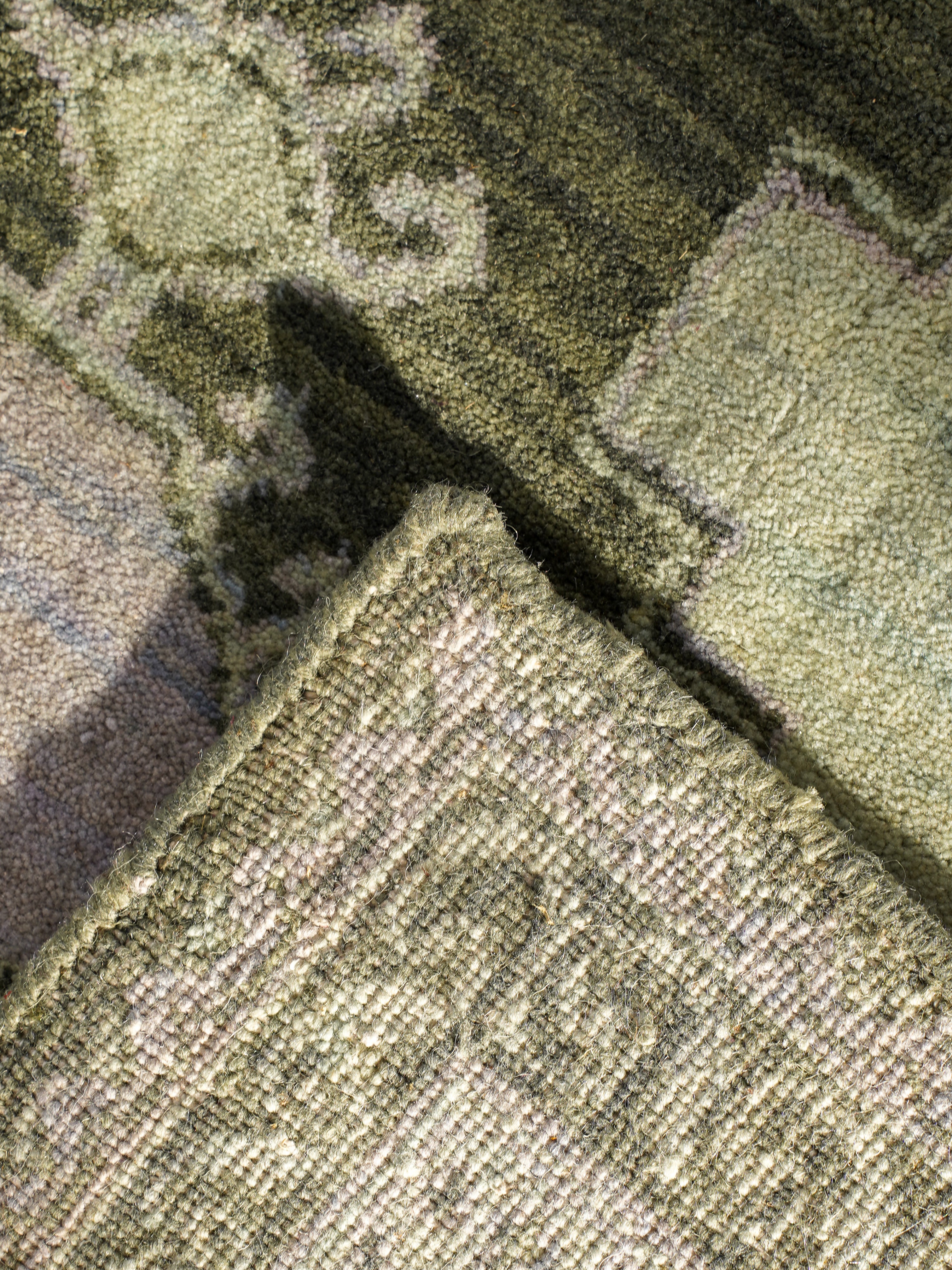Hand Knotted Wool Oriental Area Rug Light Green