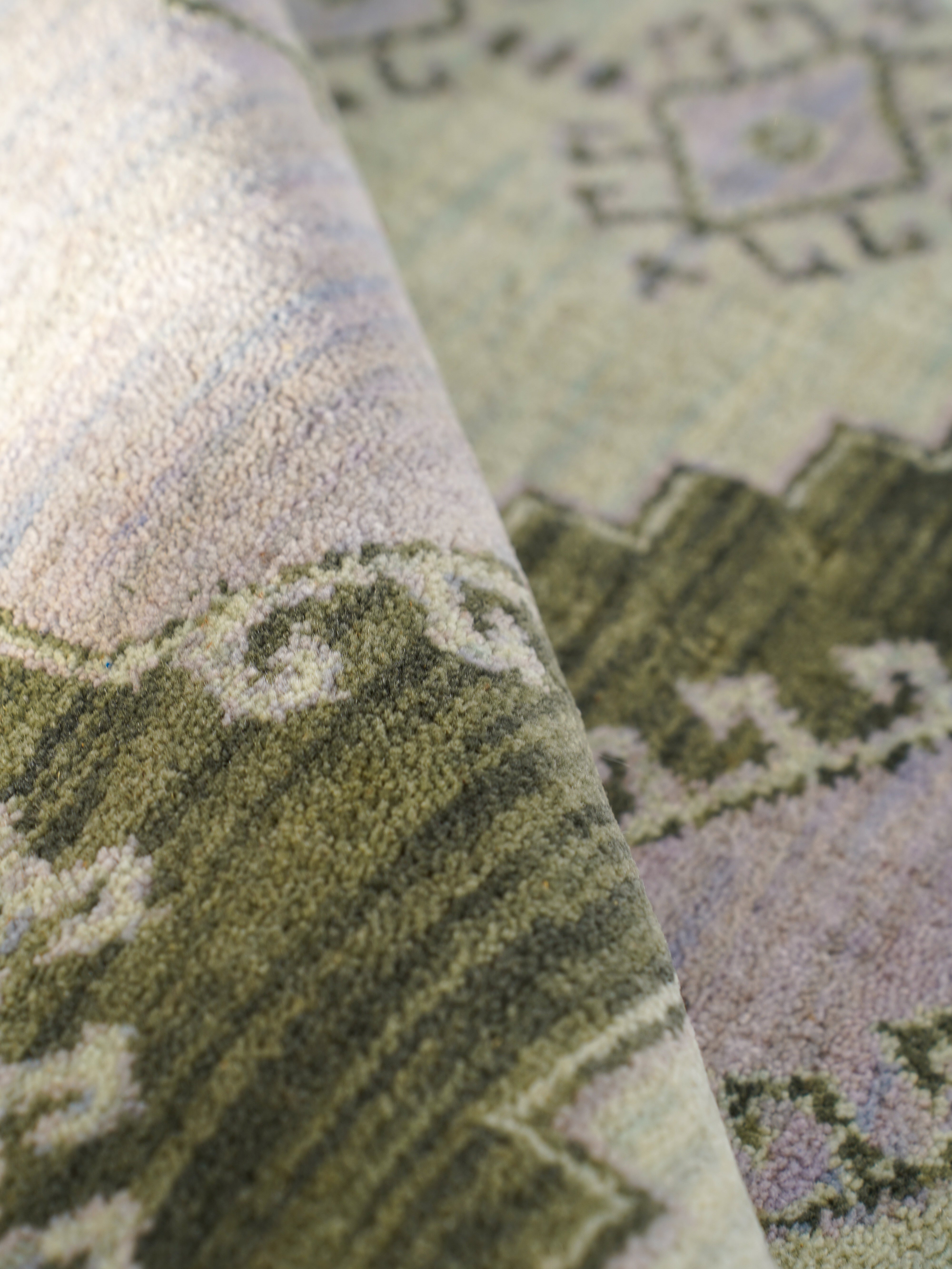 Hand Knotted Wool Oriental Area Rug Light Green