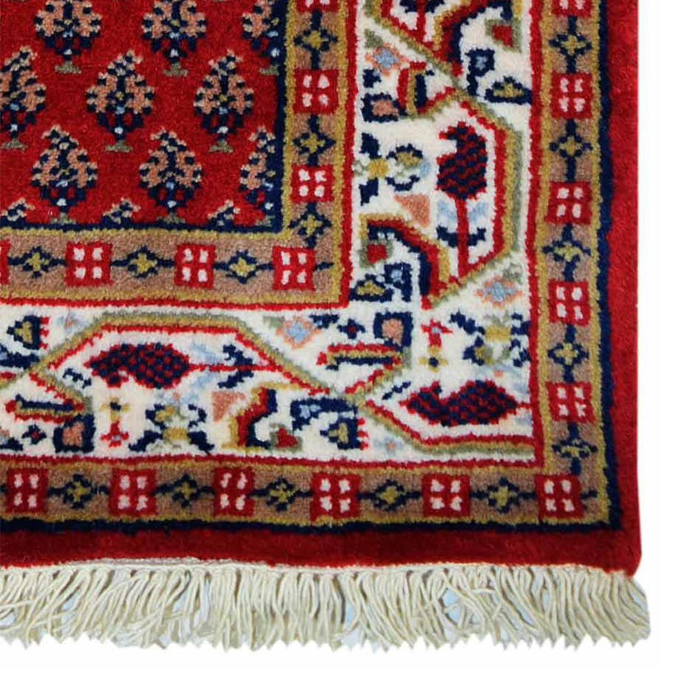 Adhi Hand Knotted Lichi Izmir Wool Rug