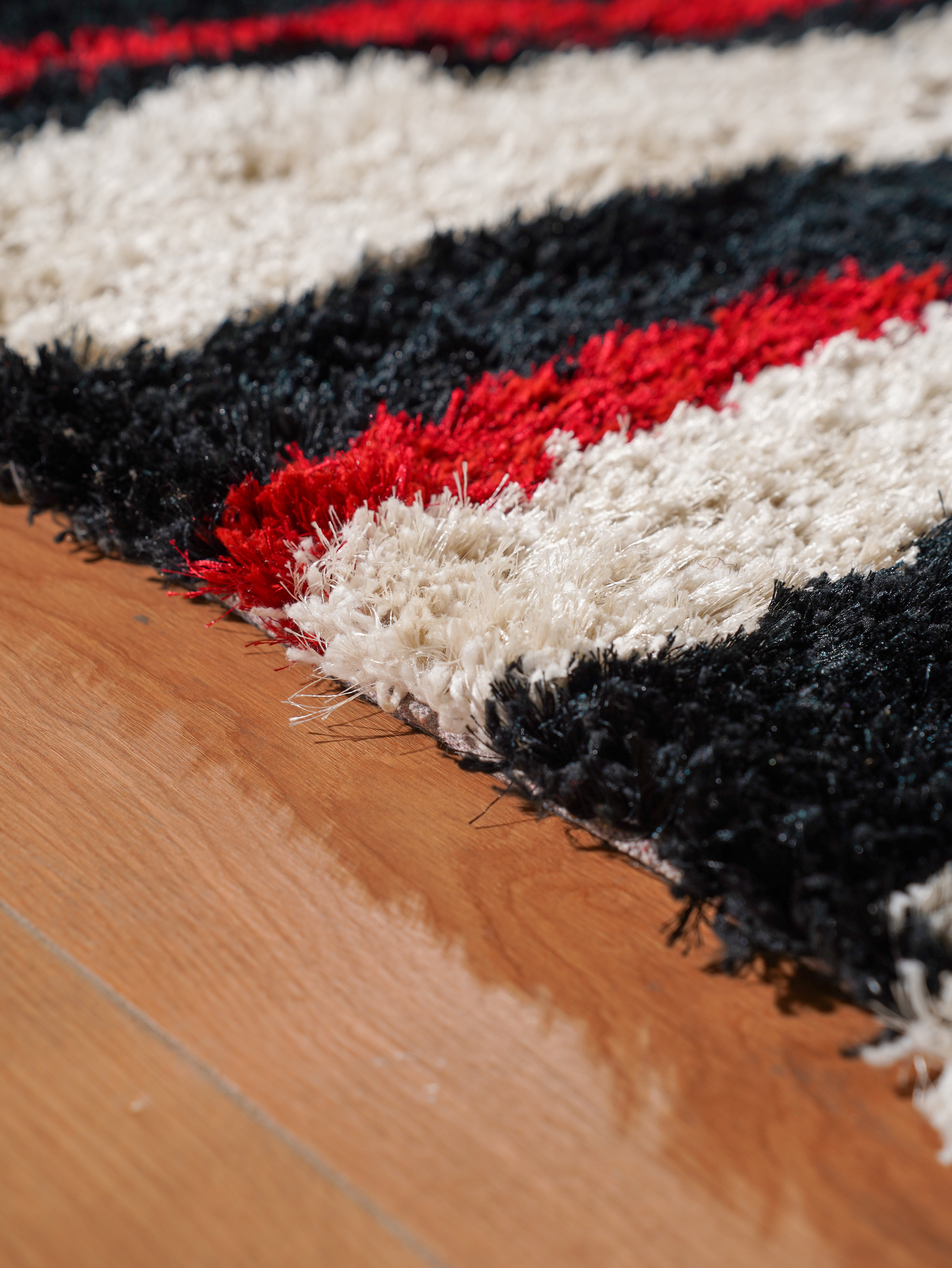 Moden Polyester Hand Tufted Shag Rug