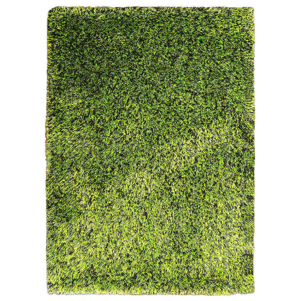 Solid Green Shag Polyester Area Rug