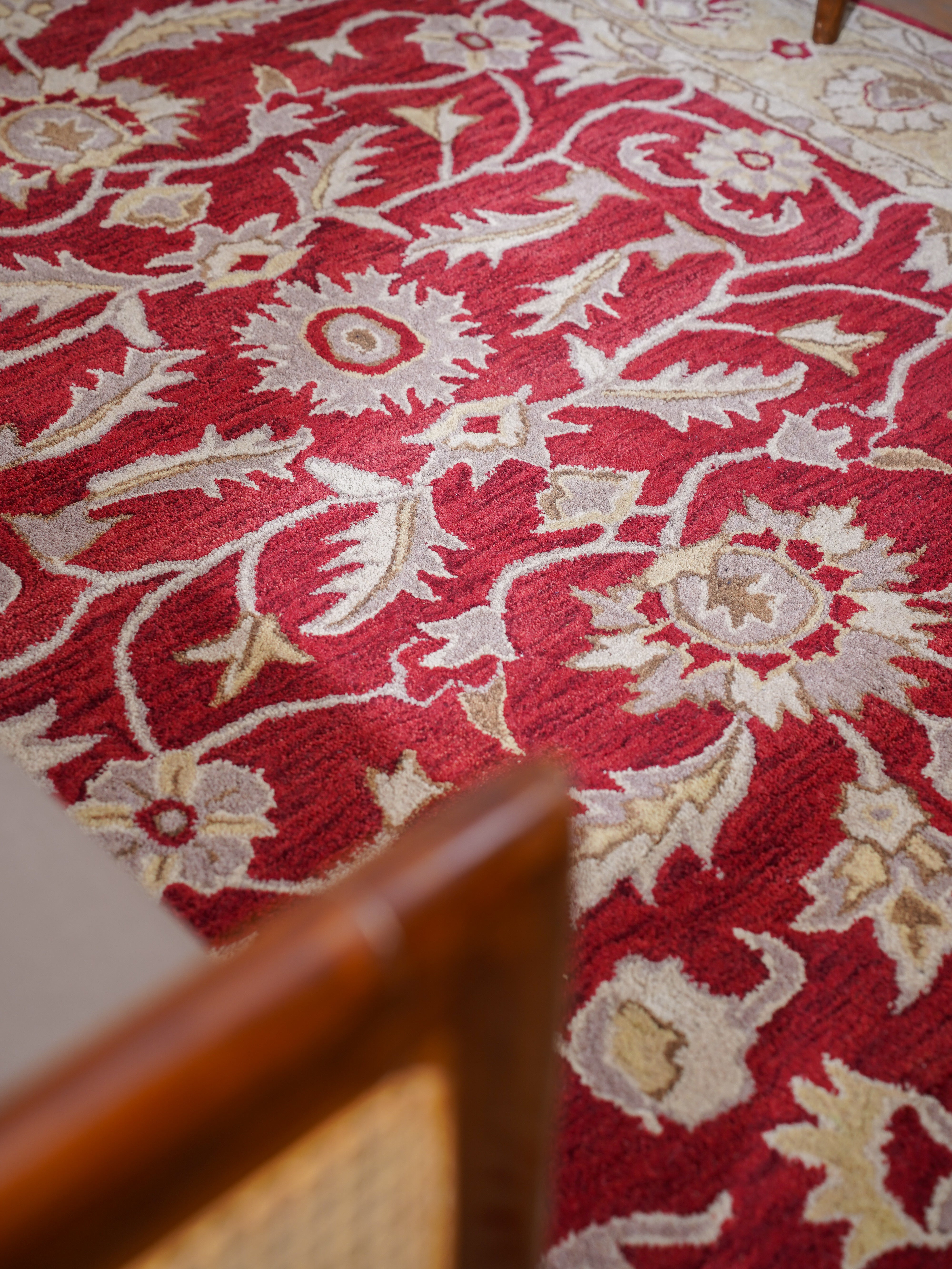 Raktima Hand Tufted Oriental Rug
