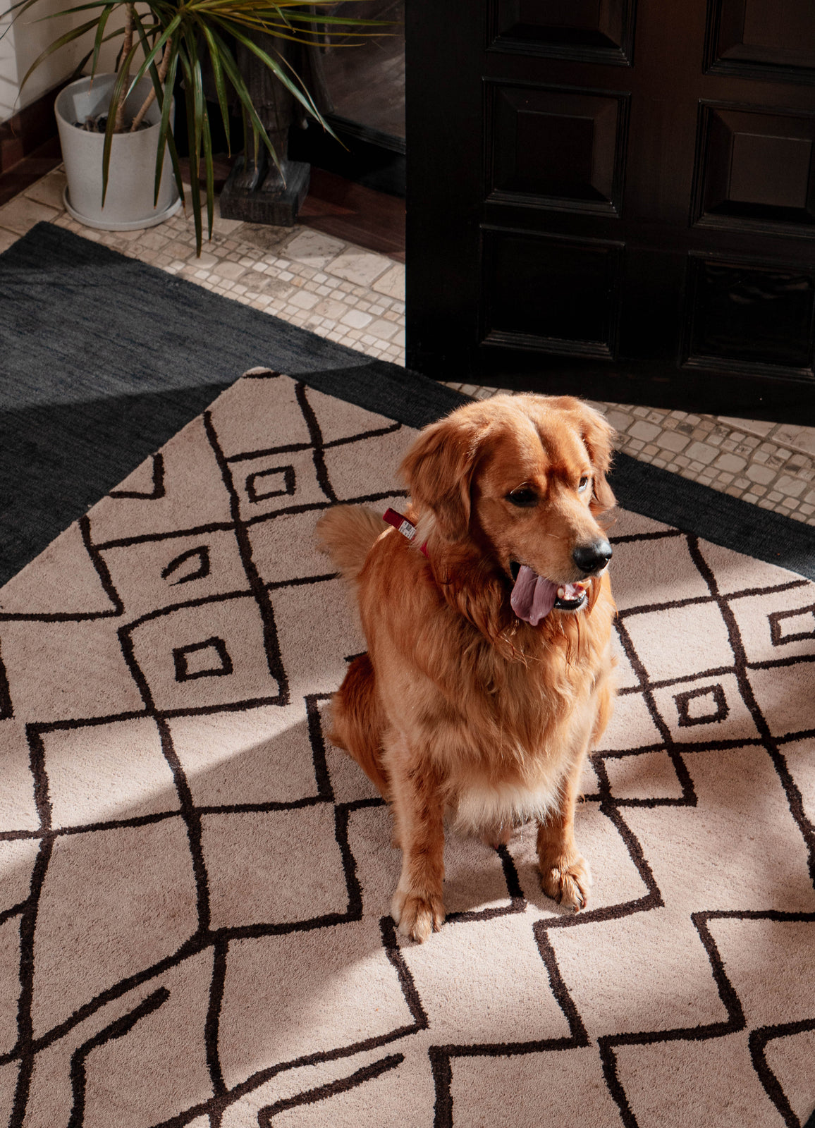 Maze Hand Tufted Wool Area Rug