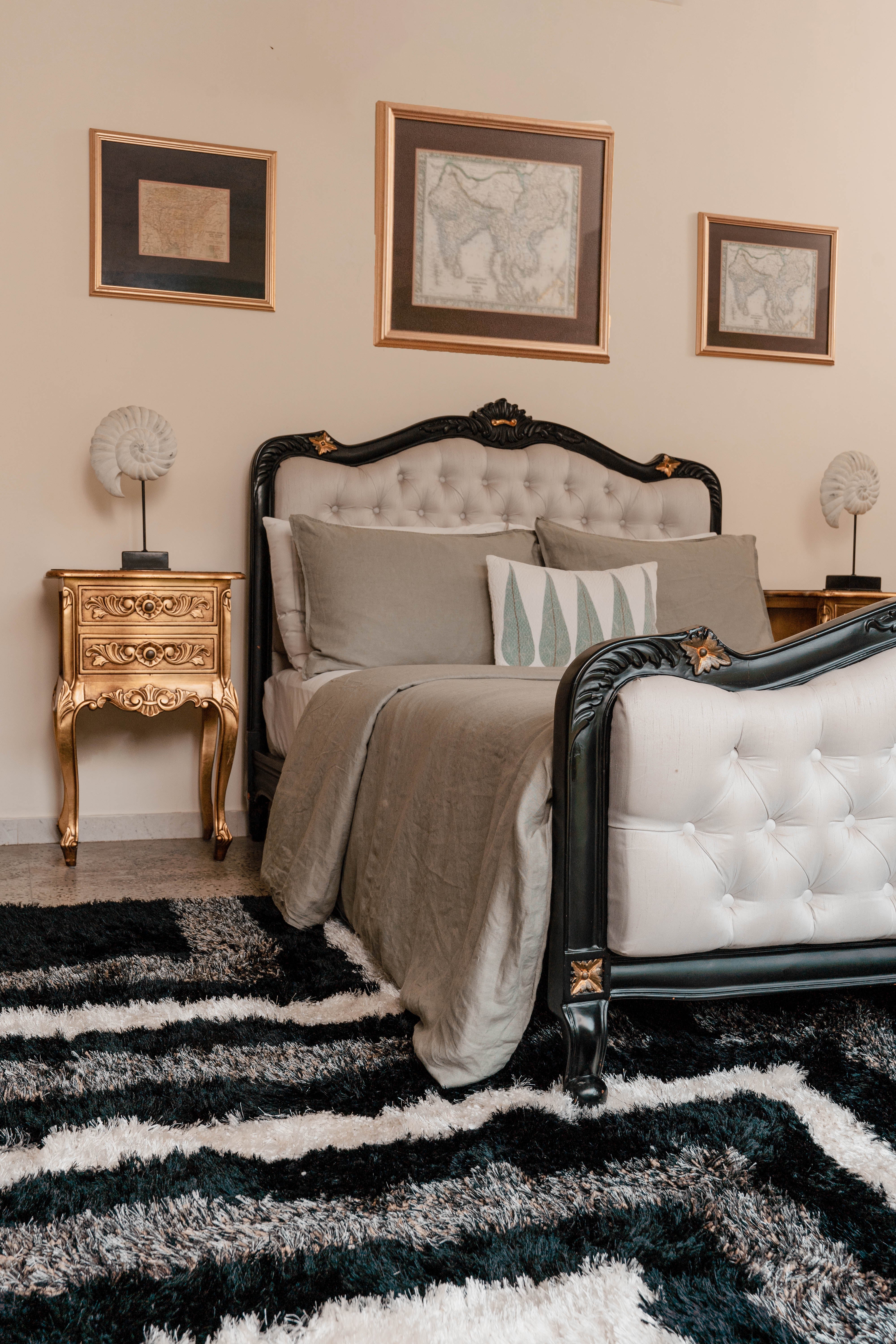Ekanta Hand Tufted Shag Rug