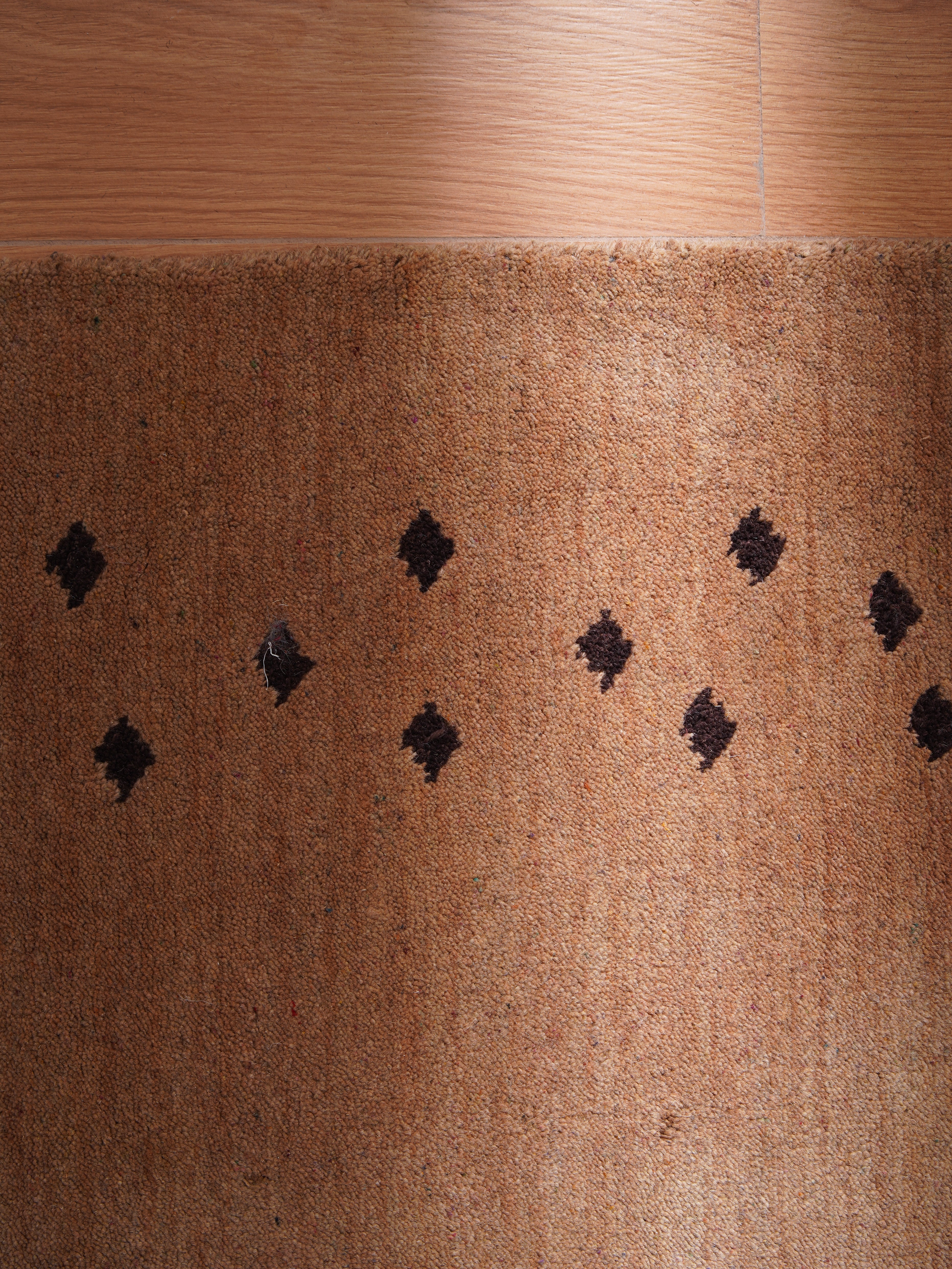 Teal Hand Knotted Wool Rug